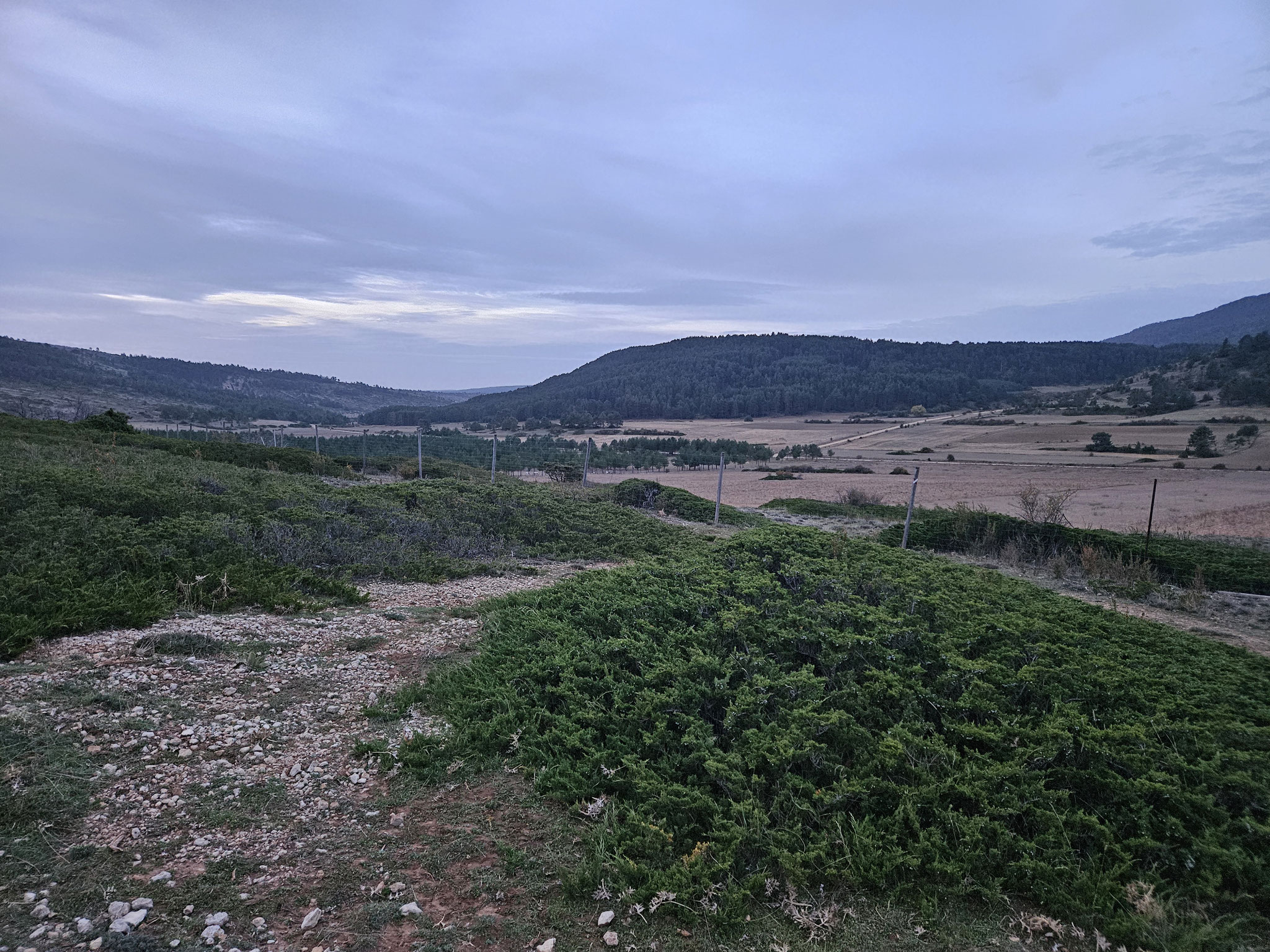 Frühmorgens bei Griegos.