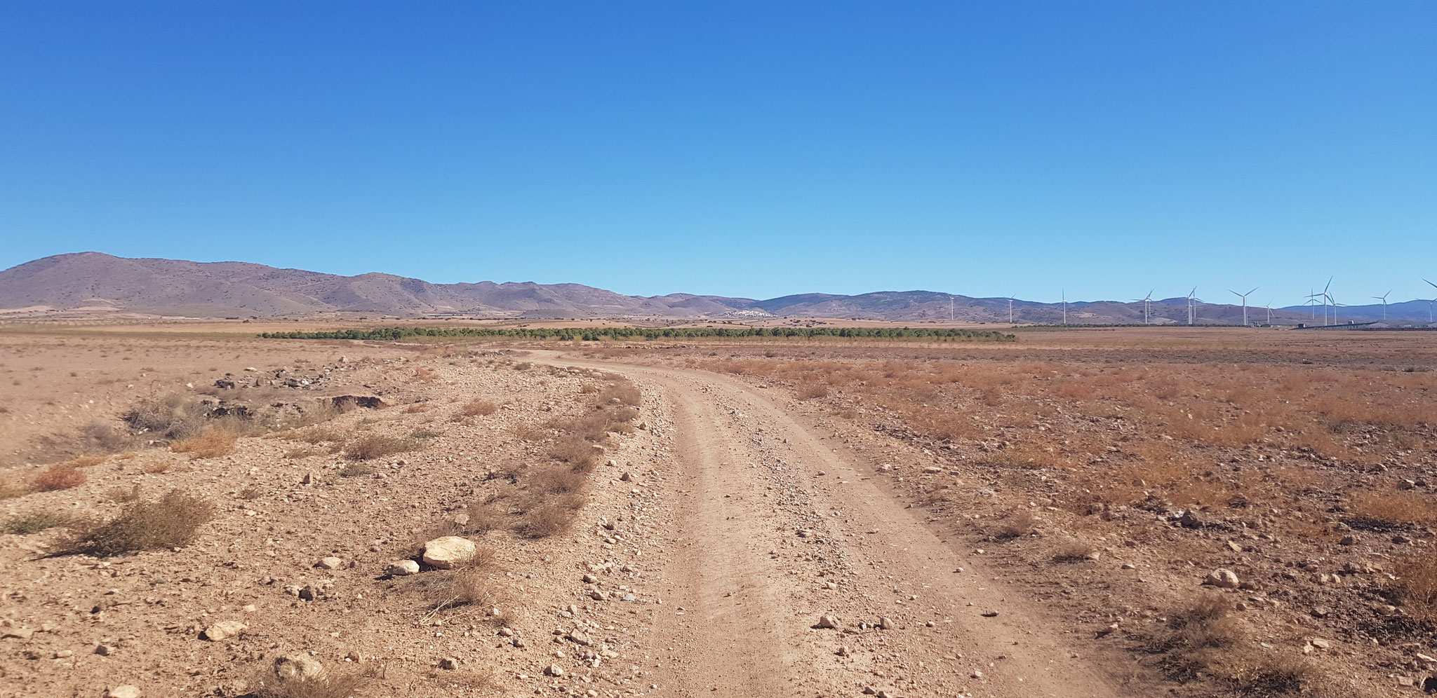 Der Sierra de Baza entgegen. Im Hintergrund Mitte: Charches.