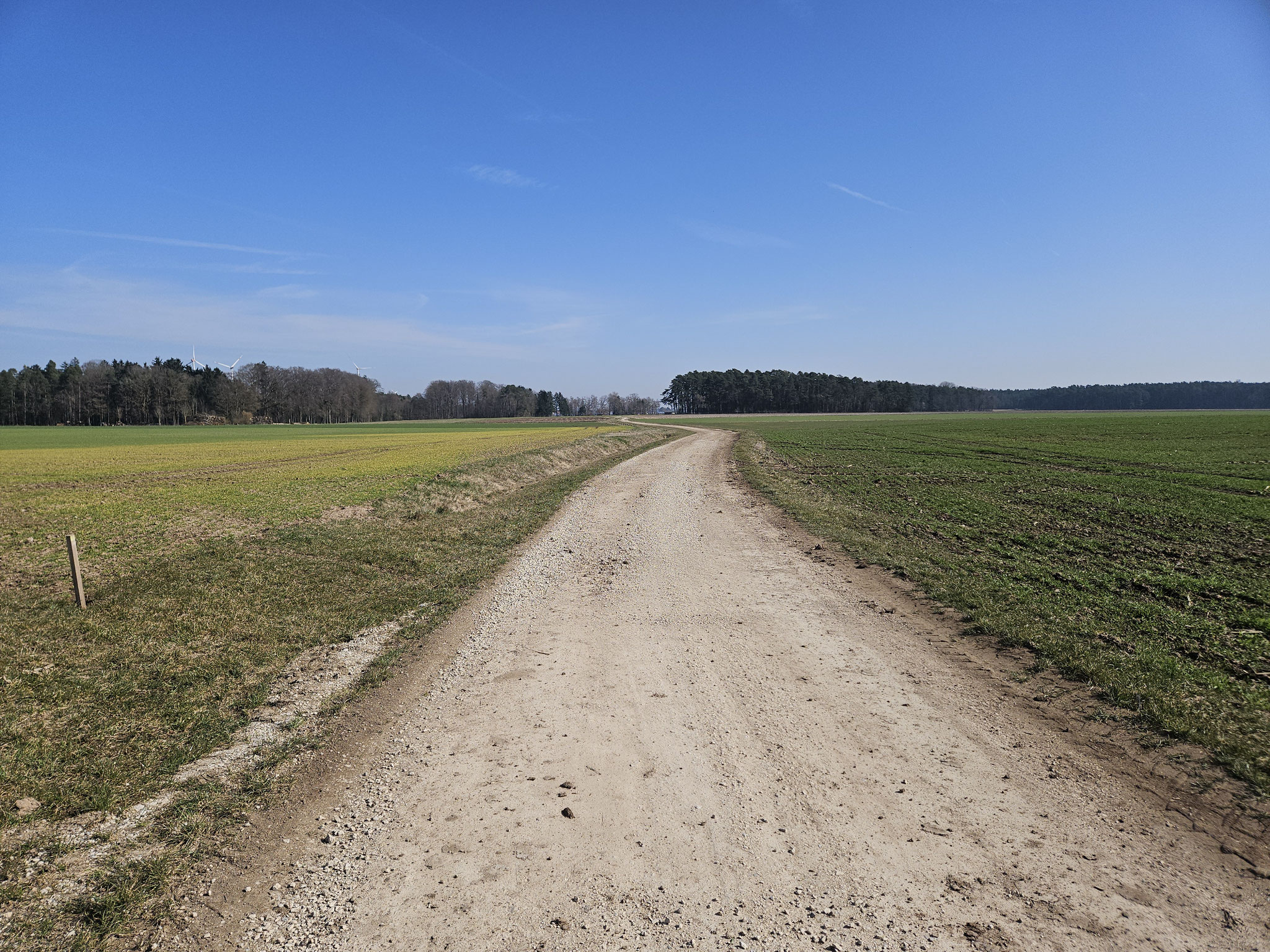 Vom Freistein ostwärts.