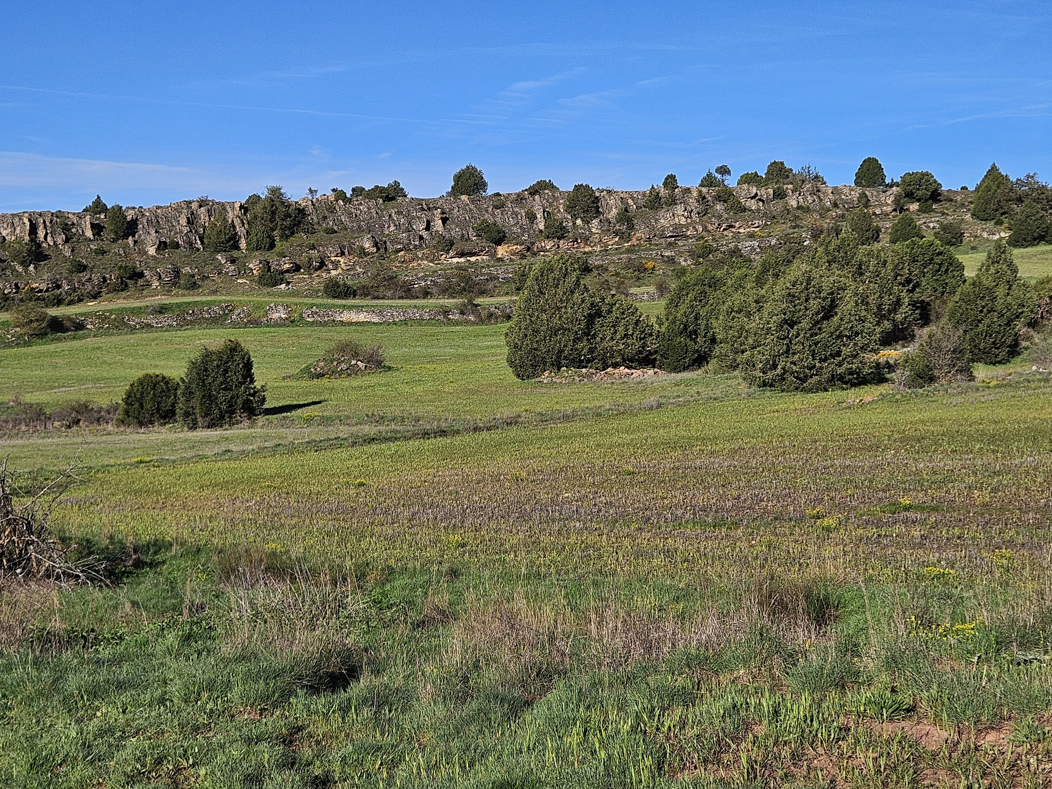 Bei Aragoncillo.
