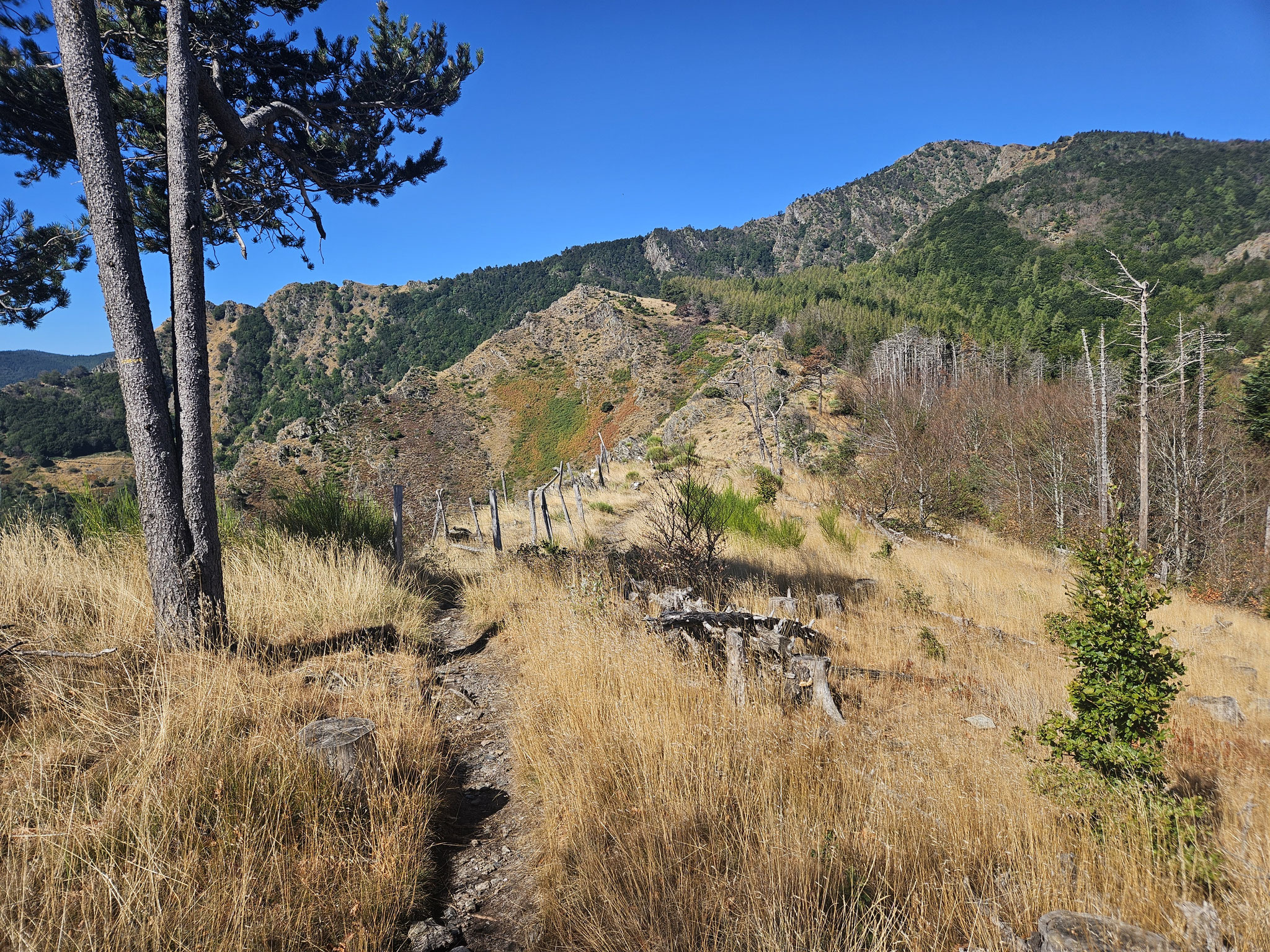 Unterhalt Cap de Brion, Blick zurück zur Mont Aigoual-Ostflanke.