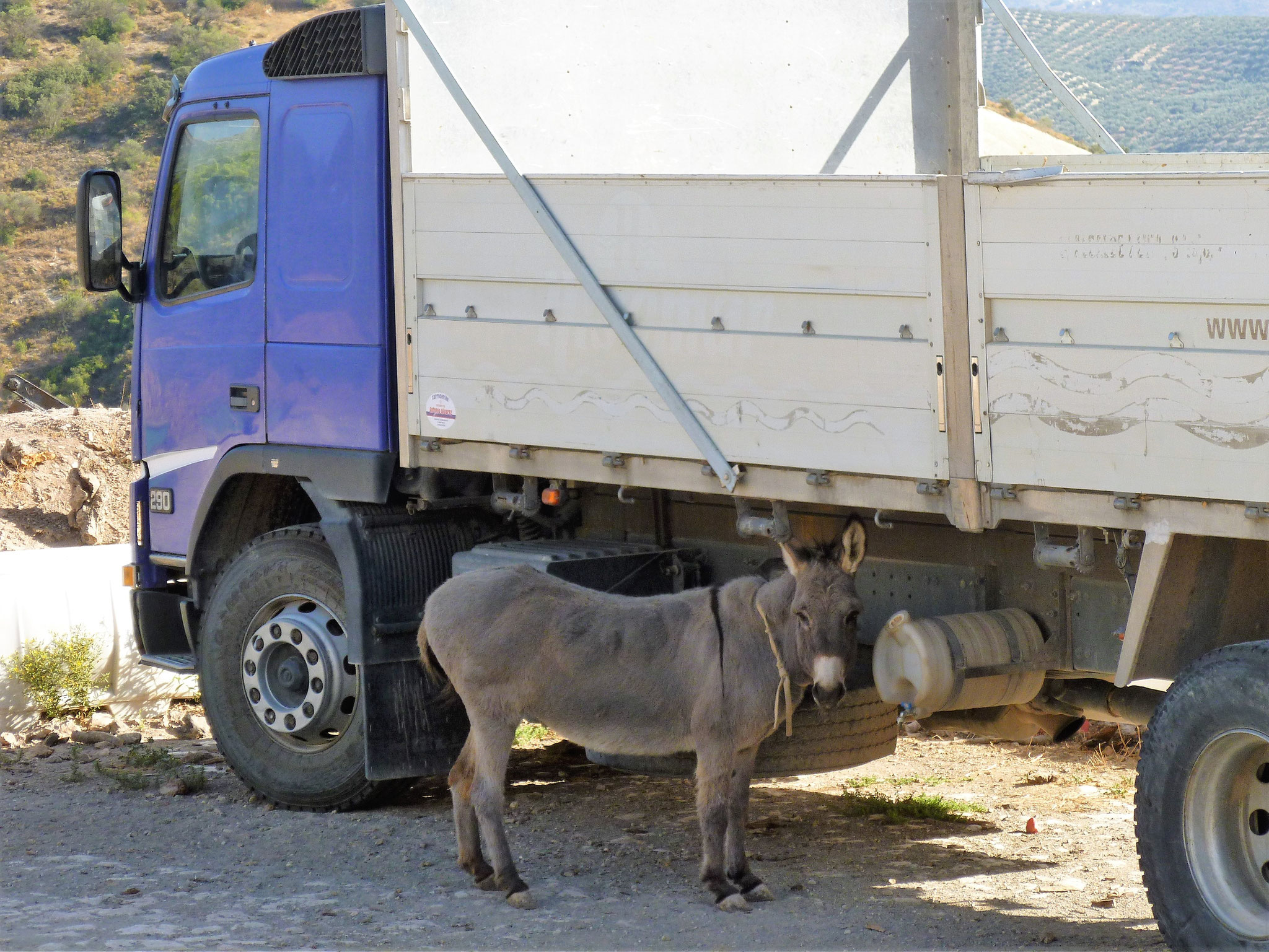 Zwei Transportmittel. In Villanueva de Cauche.