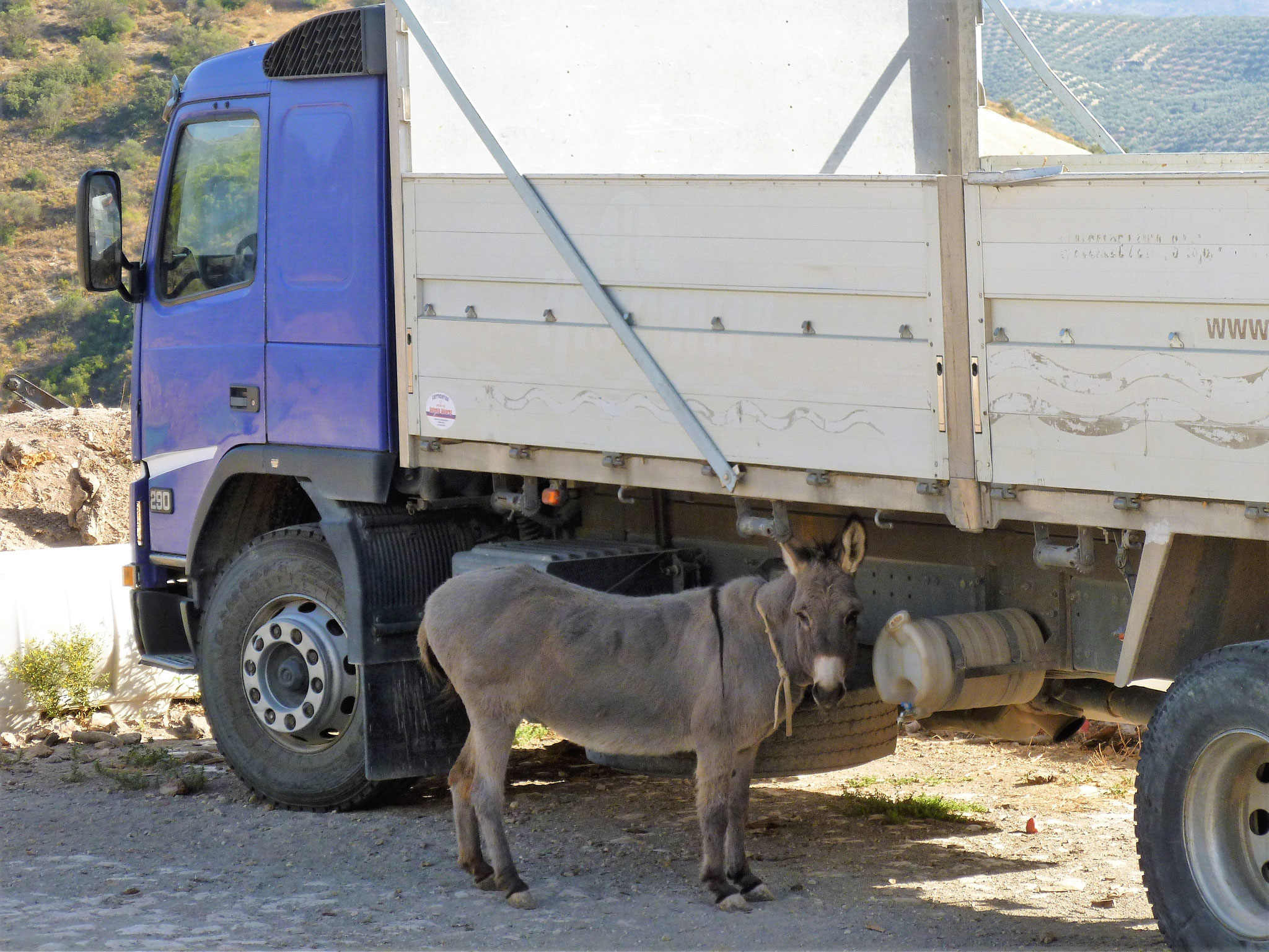 Zwei Transportmittel. In Villanueva de Cauche.