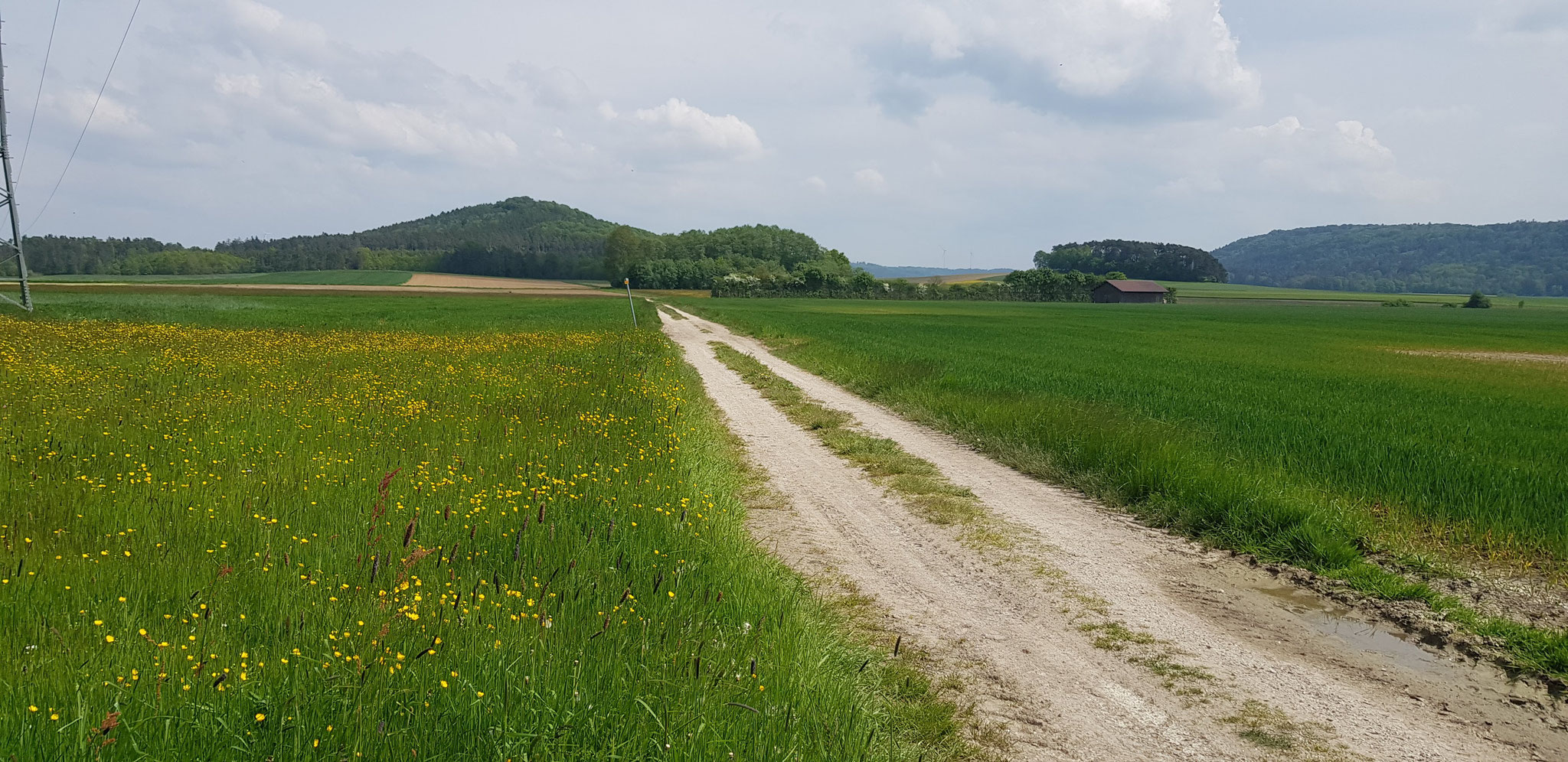 Richtung Staufer Berg.