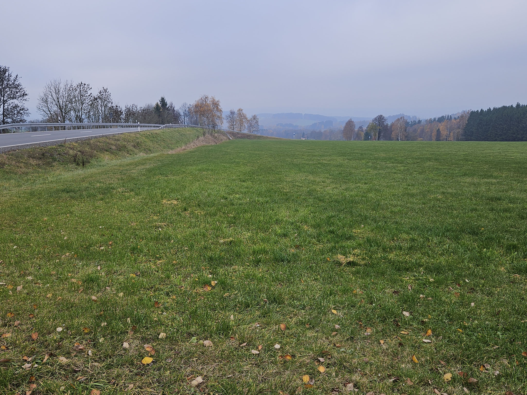 EHWS bei Herzogöd, West-"Sicht": Waldershofer Graben.