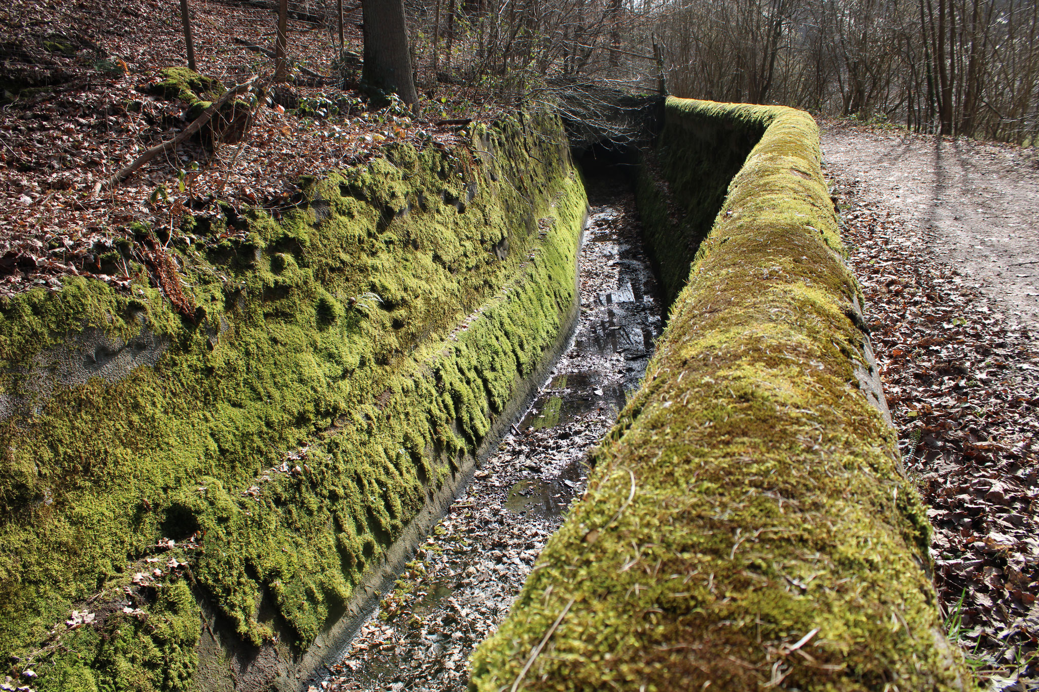 The Upper Channel of the Sayner Hütte, installed in the 19th century.