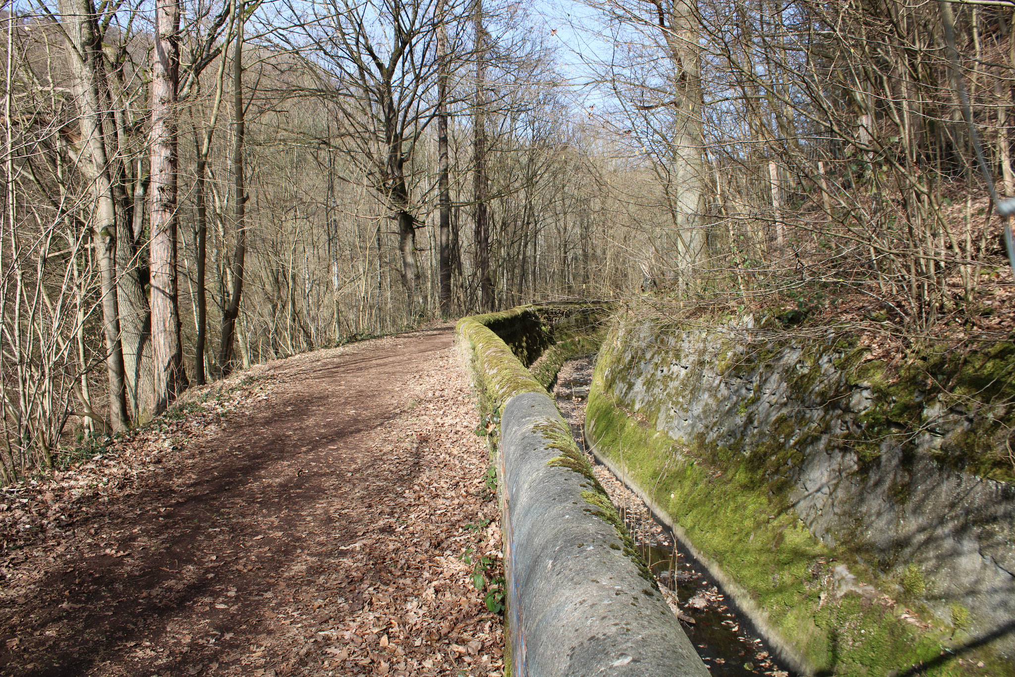 Obergraben der Sayner Hütte, angelegt im 19. Jahrhundert.