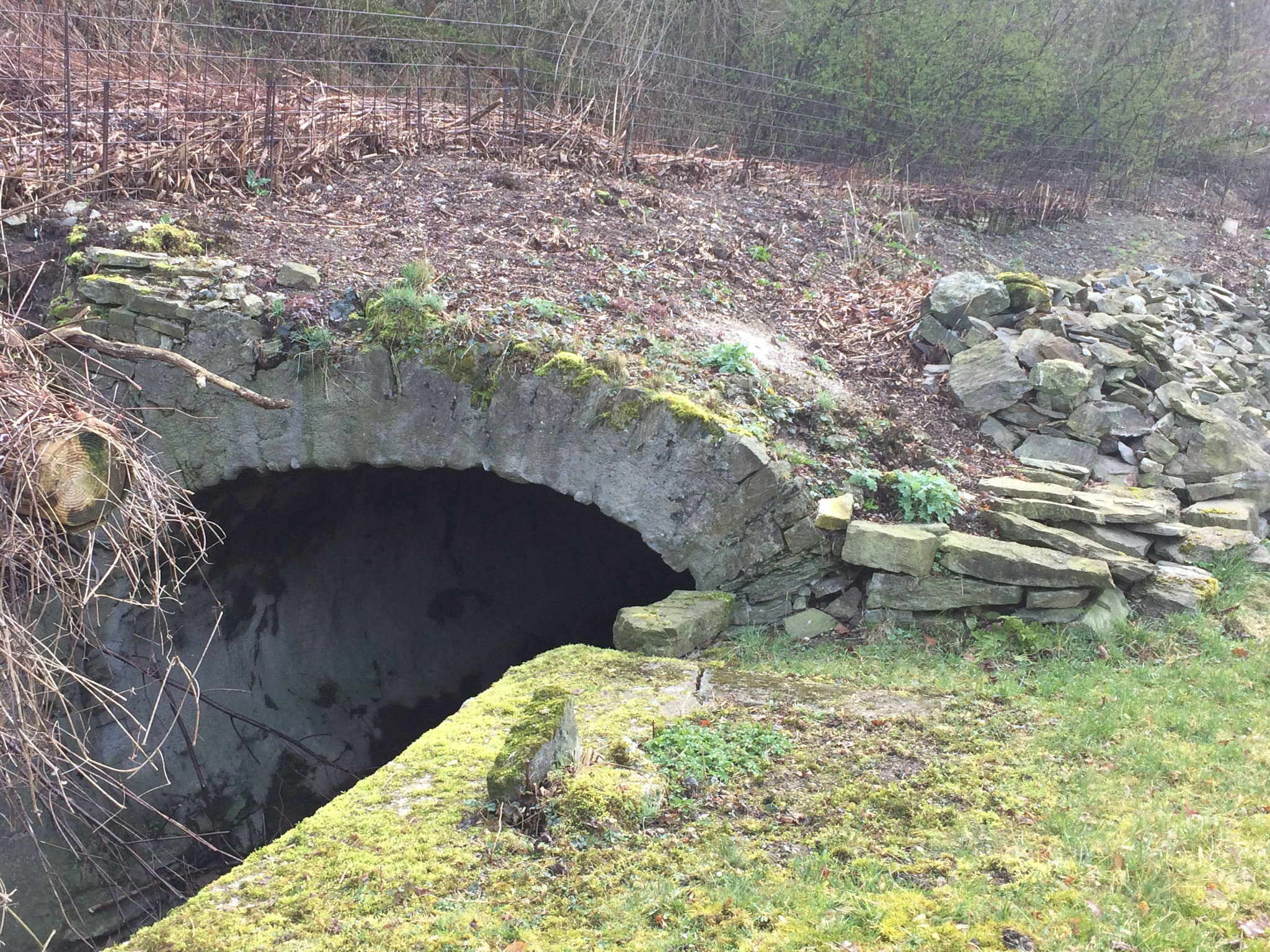 The Upper Channel of the Sayner Hütte, installed in the 19th century.