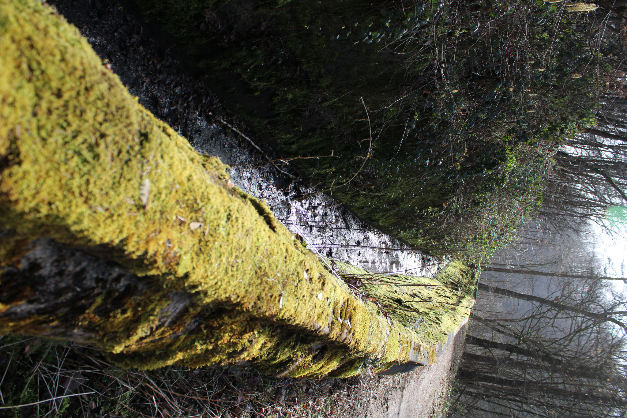 The Upper Channel of the Sayner Hütte, installed in the 19th century.