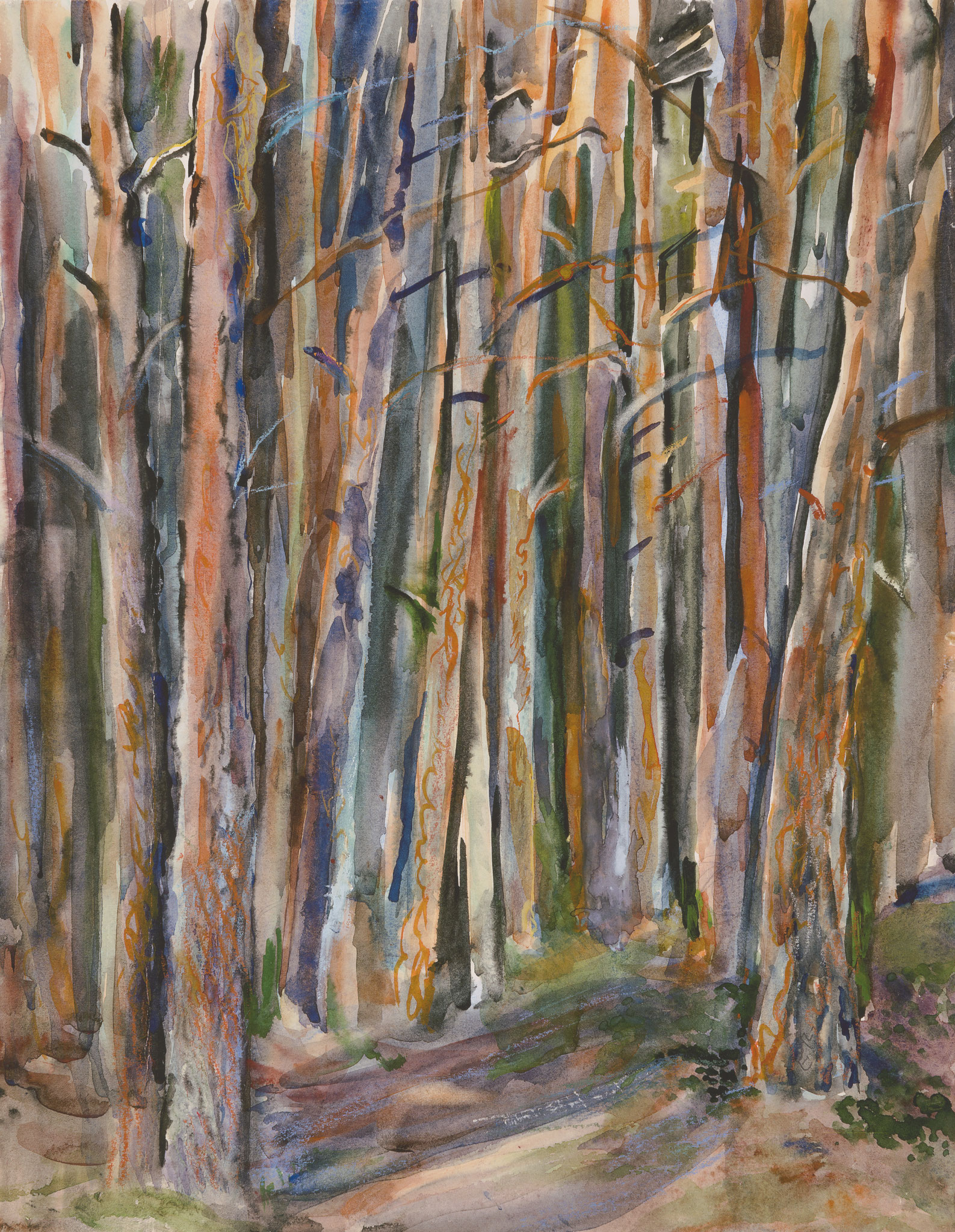 Forrest. 1980. Paper, water color.
