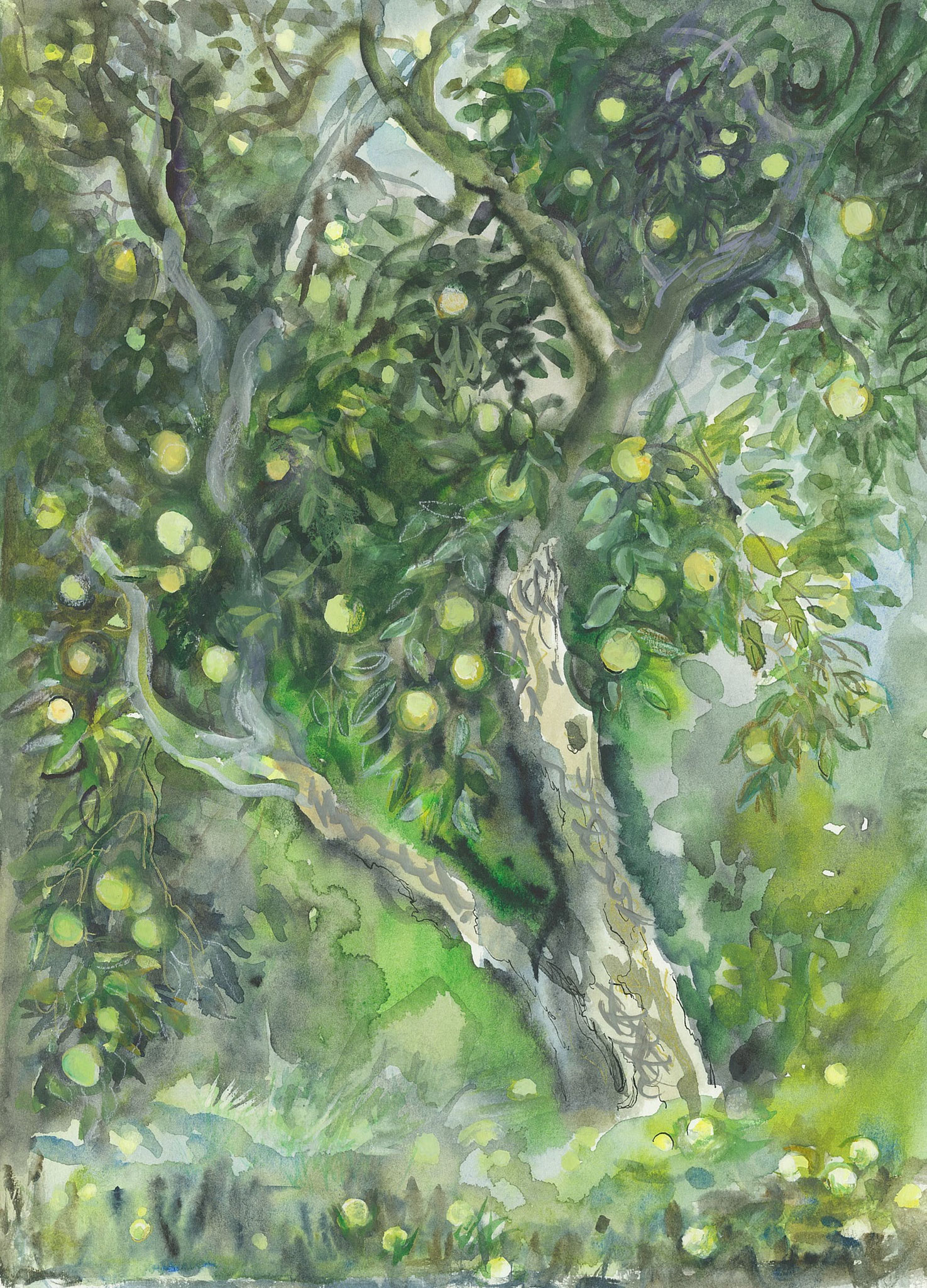 Apple-Tree. 2004.  Paper, water color.