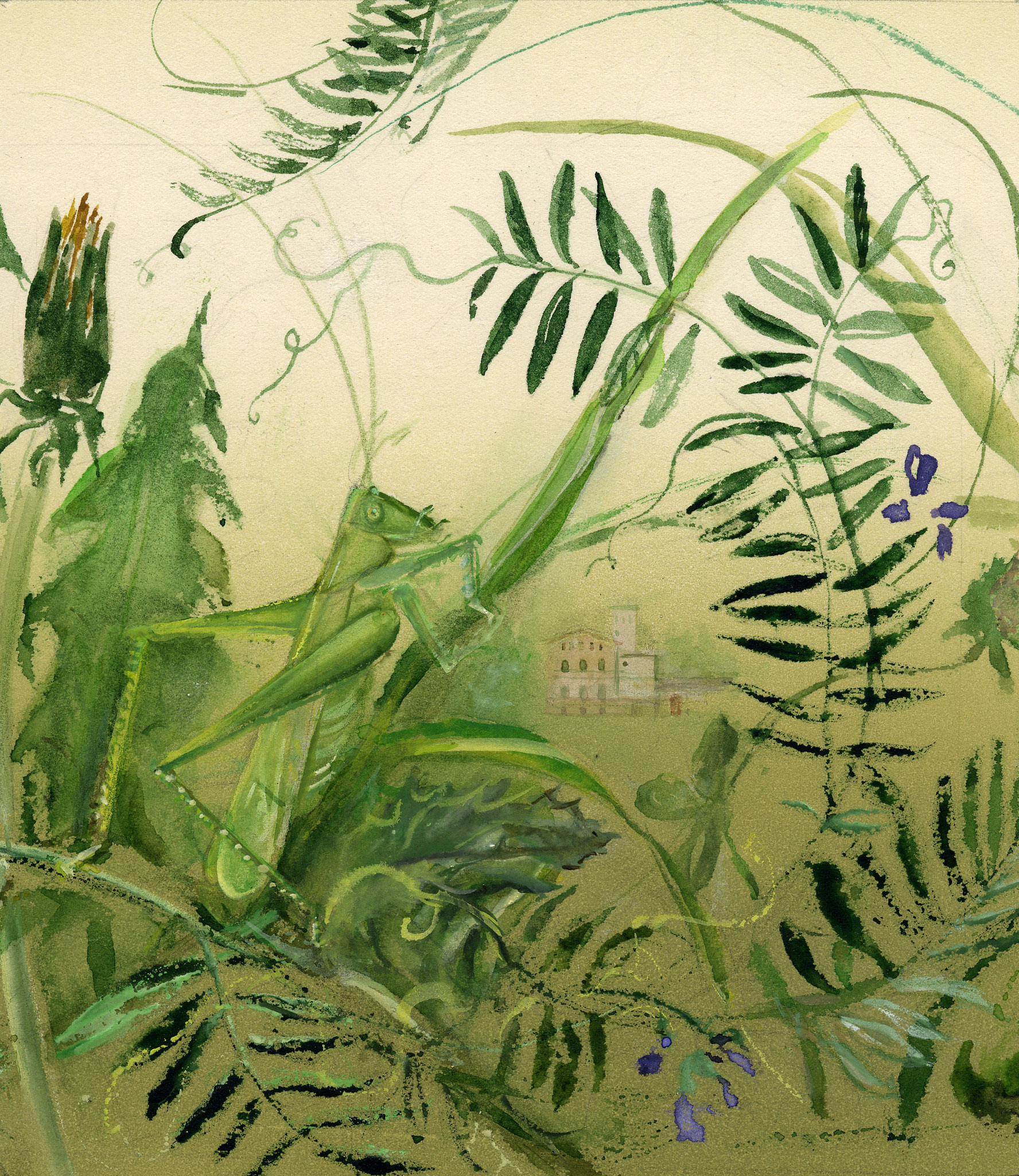 Blick auf die Fasanerie aus dem Gras. 1997. Getöntes Papier, Aquarell, Deckweiß.