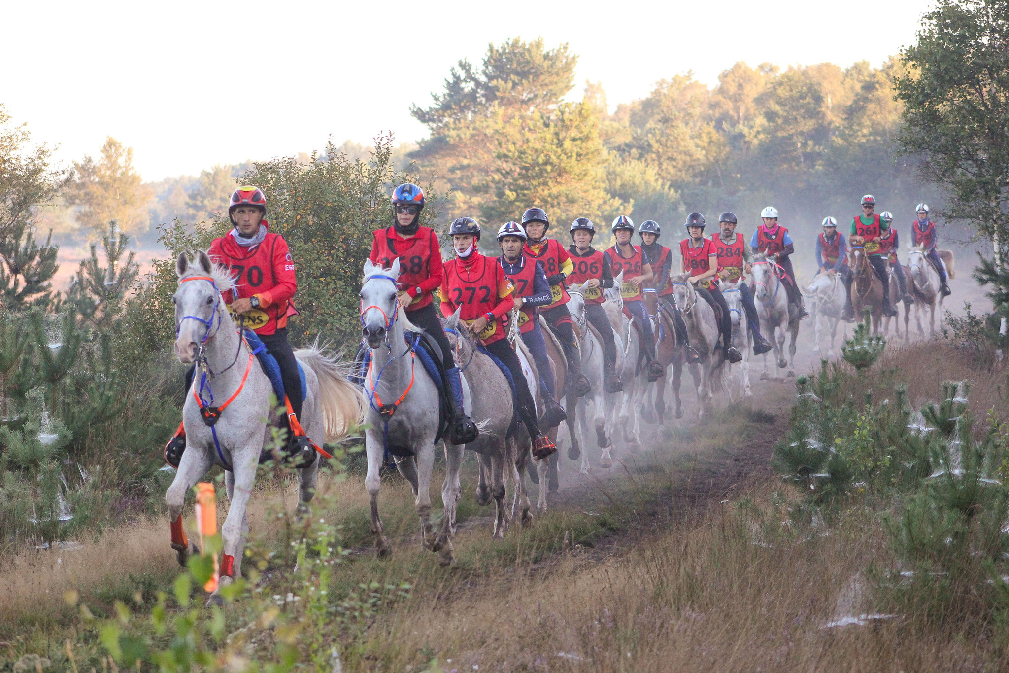 Europameisterschaft Endurance in Ermelo (Holland) - © JEN-FOTOGRAFIE