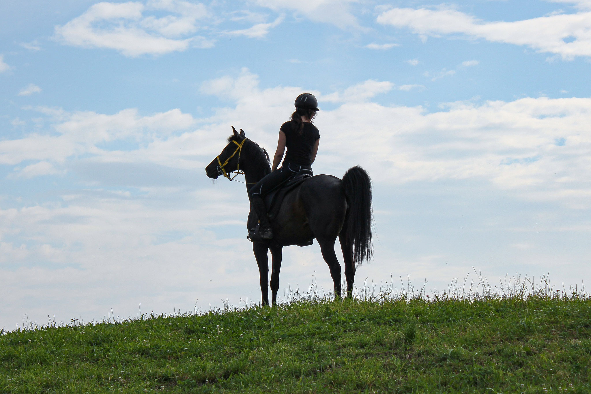 Training Avenches - © JEN-FOTOGRAFIE