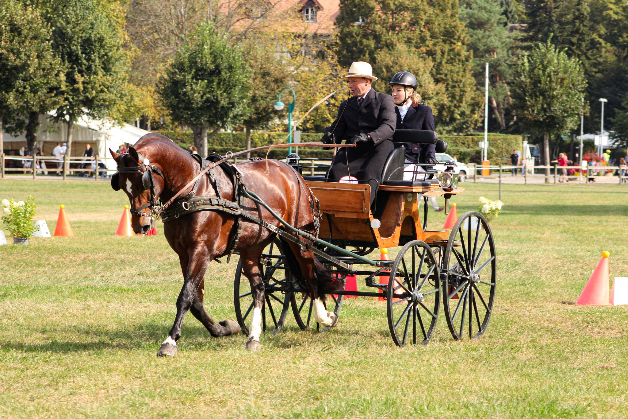 Promotionsfahren Schweizermeisterschaft Freiberger 2018 - © JEN-FOTOGRAFIE