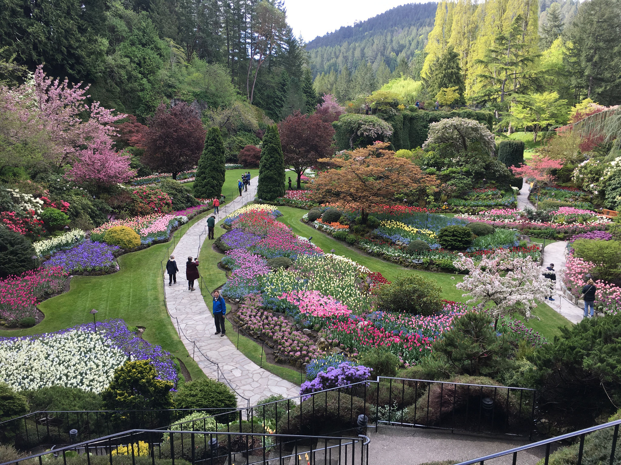 beautiful Butchart Gardens, Victoria Island, Canada