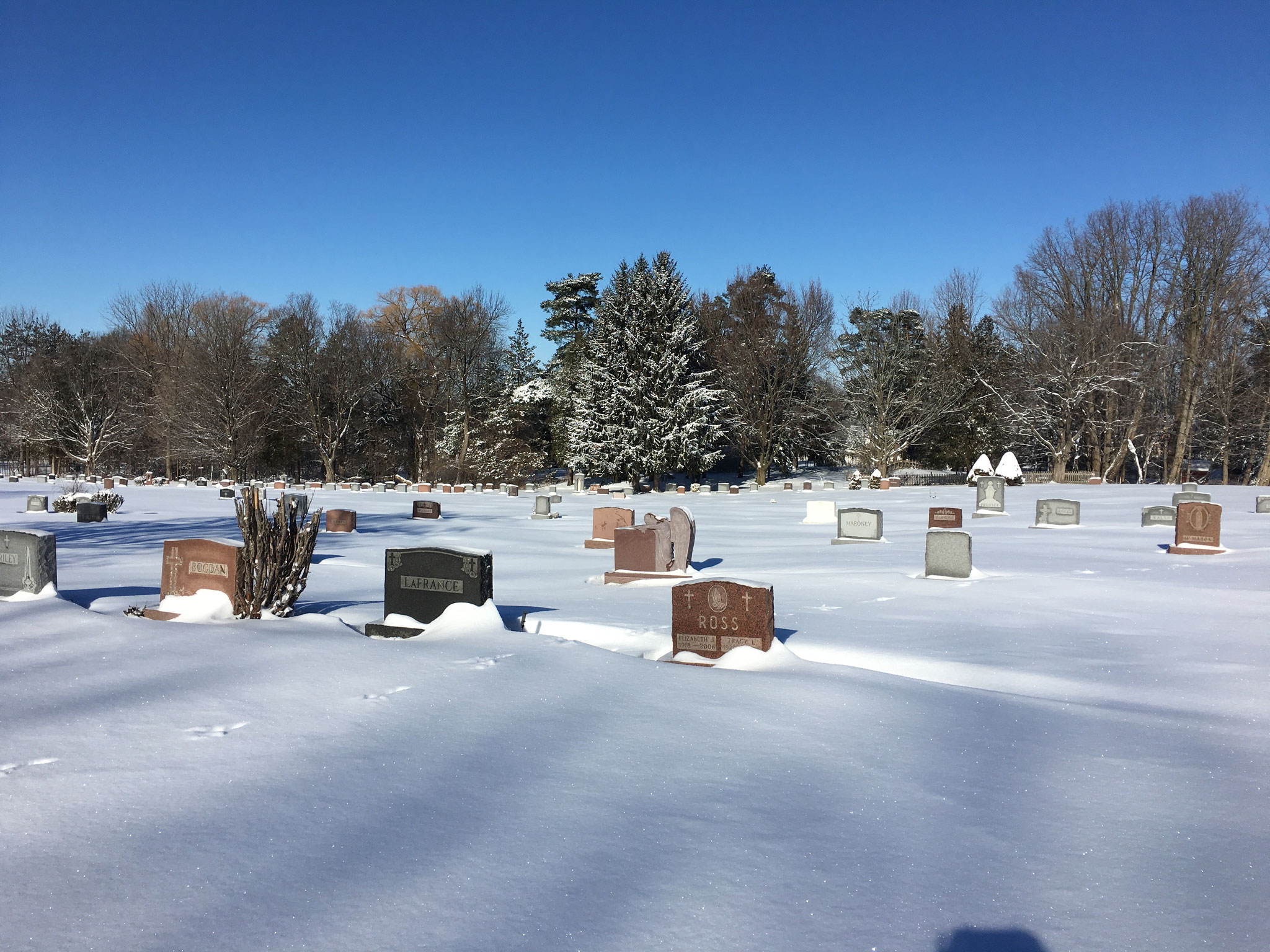 St. Mary's Cemetery, 2018 Bogden Family Grave