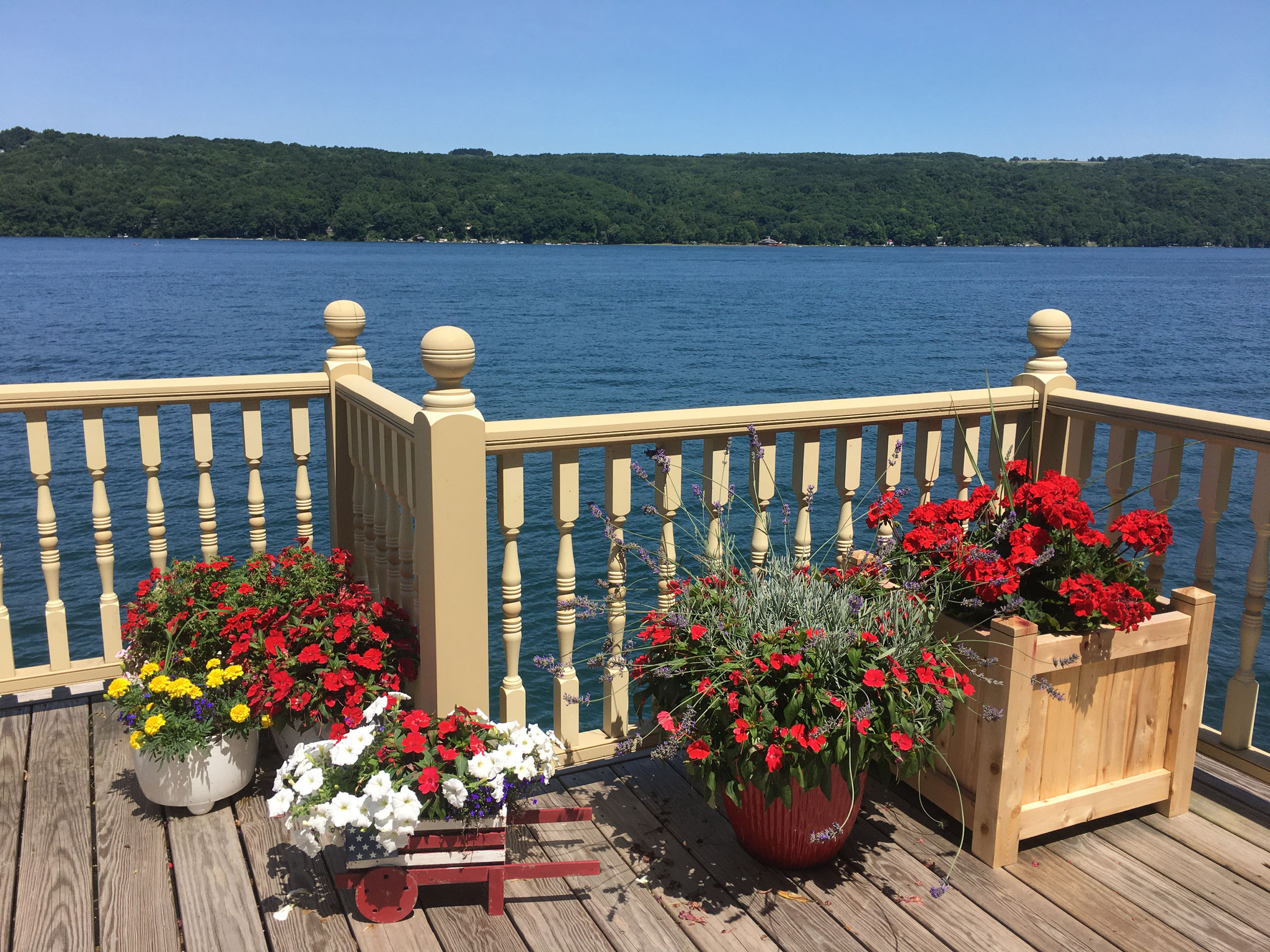 Beautiful flowers at the boathouse, Skaneateles Lake, 8-2020