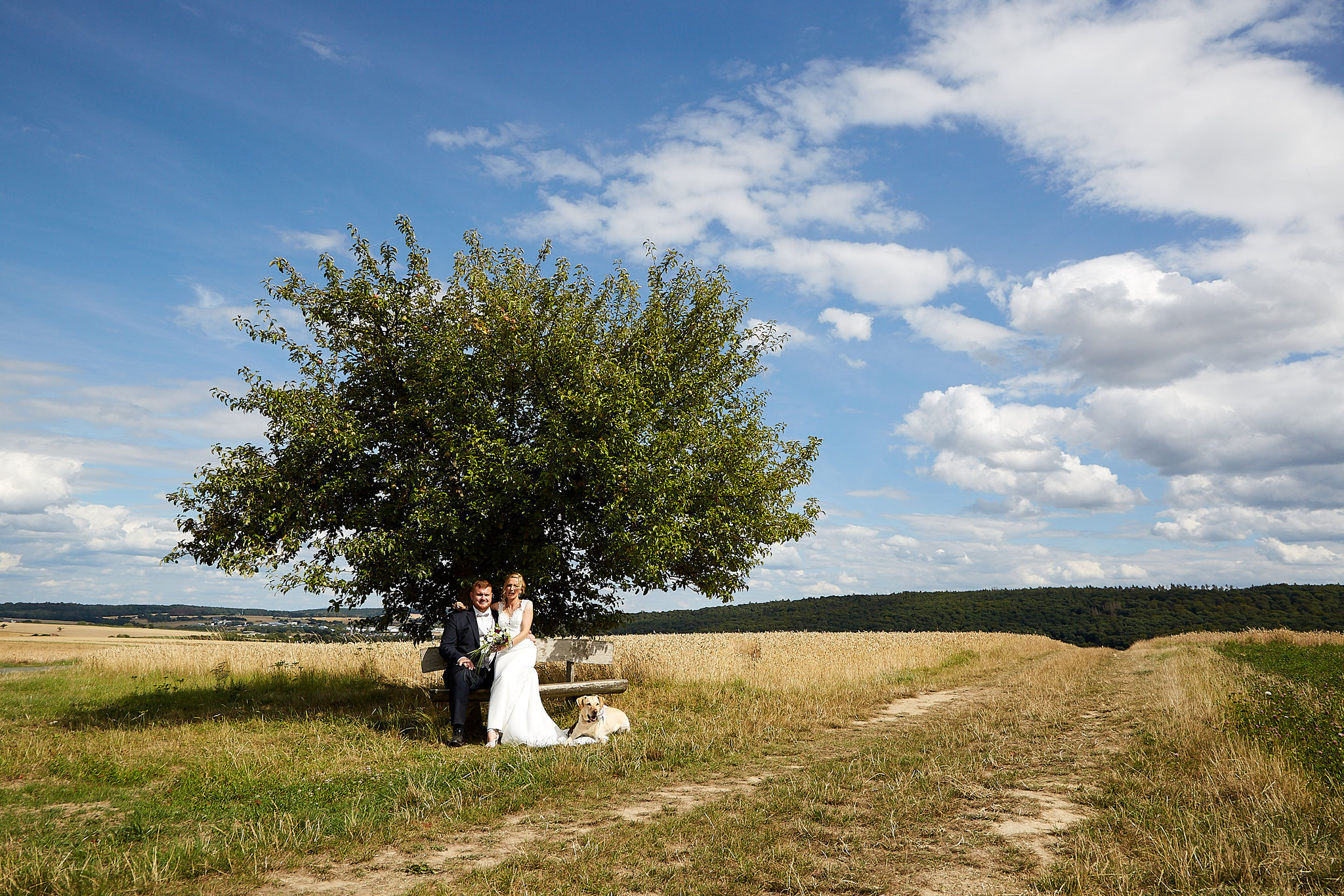 glückliches Hochzeitspaar unterm Baum