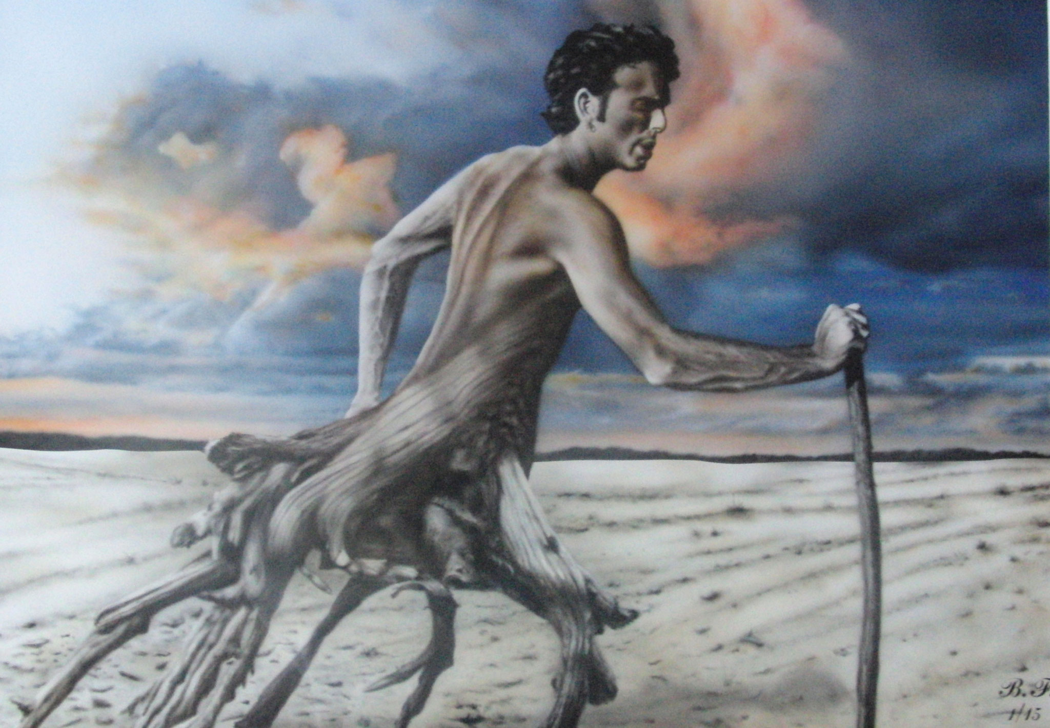 Baumläufer 70 x 50 cm
