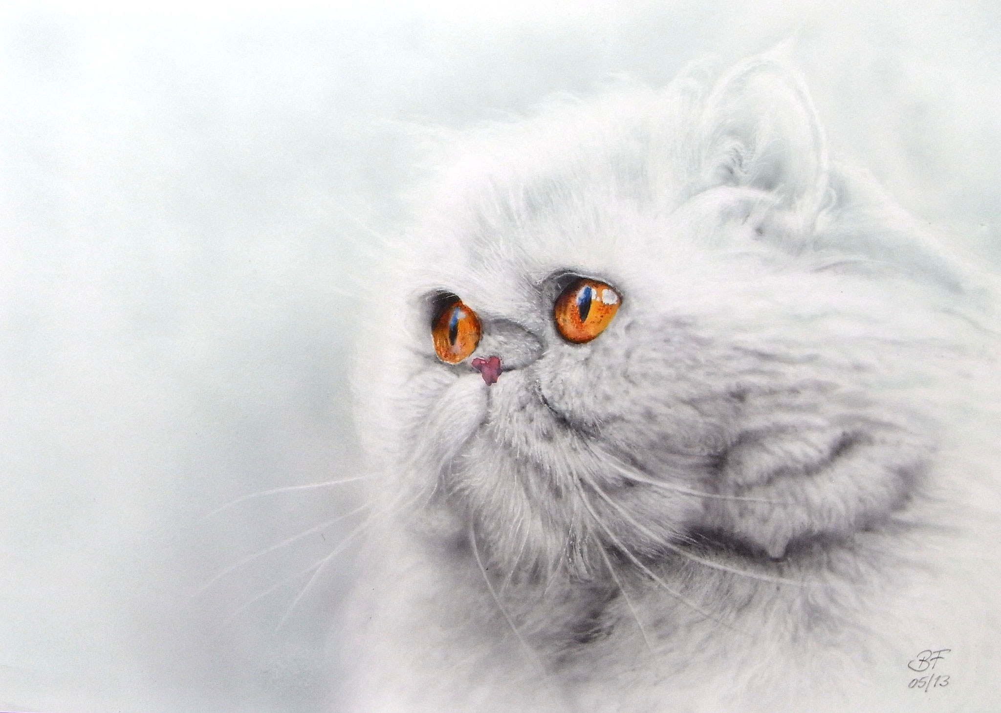 Katze 50 x 30 cm