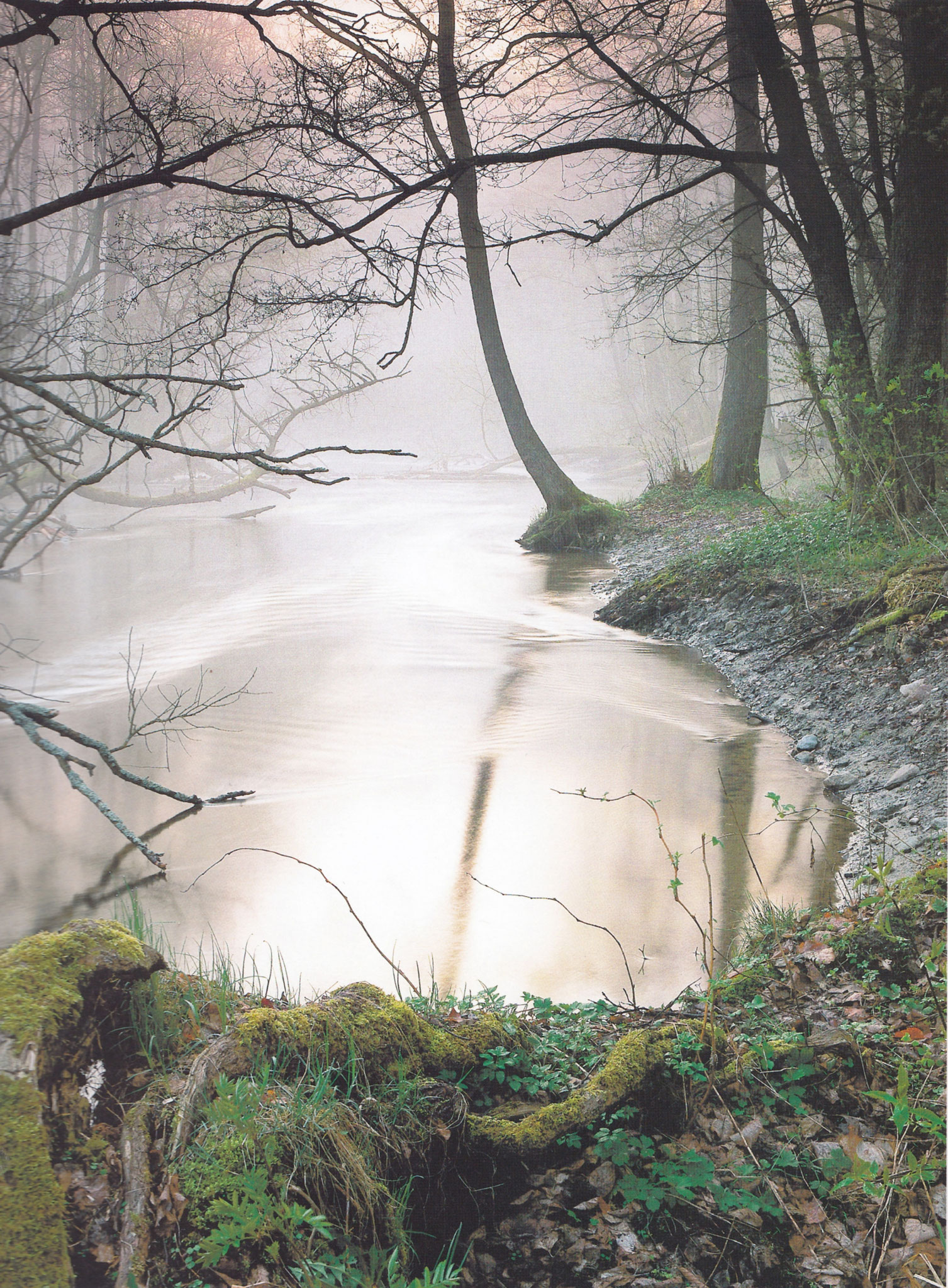 Landschaft 50 x 70 cm