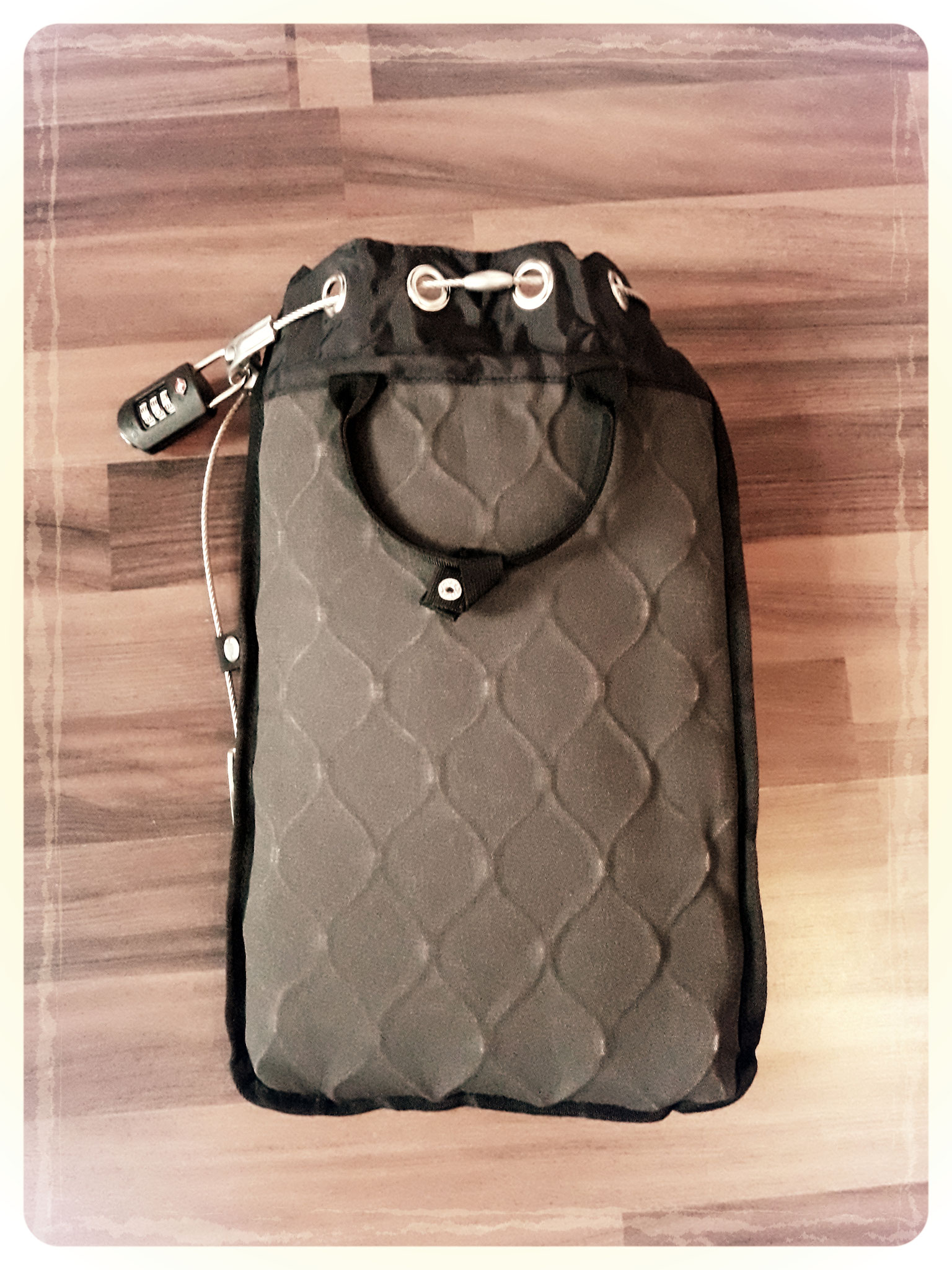 Pacsafe Travelsafe 