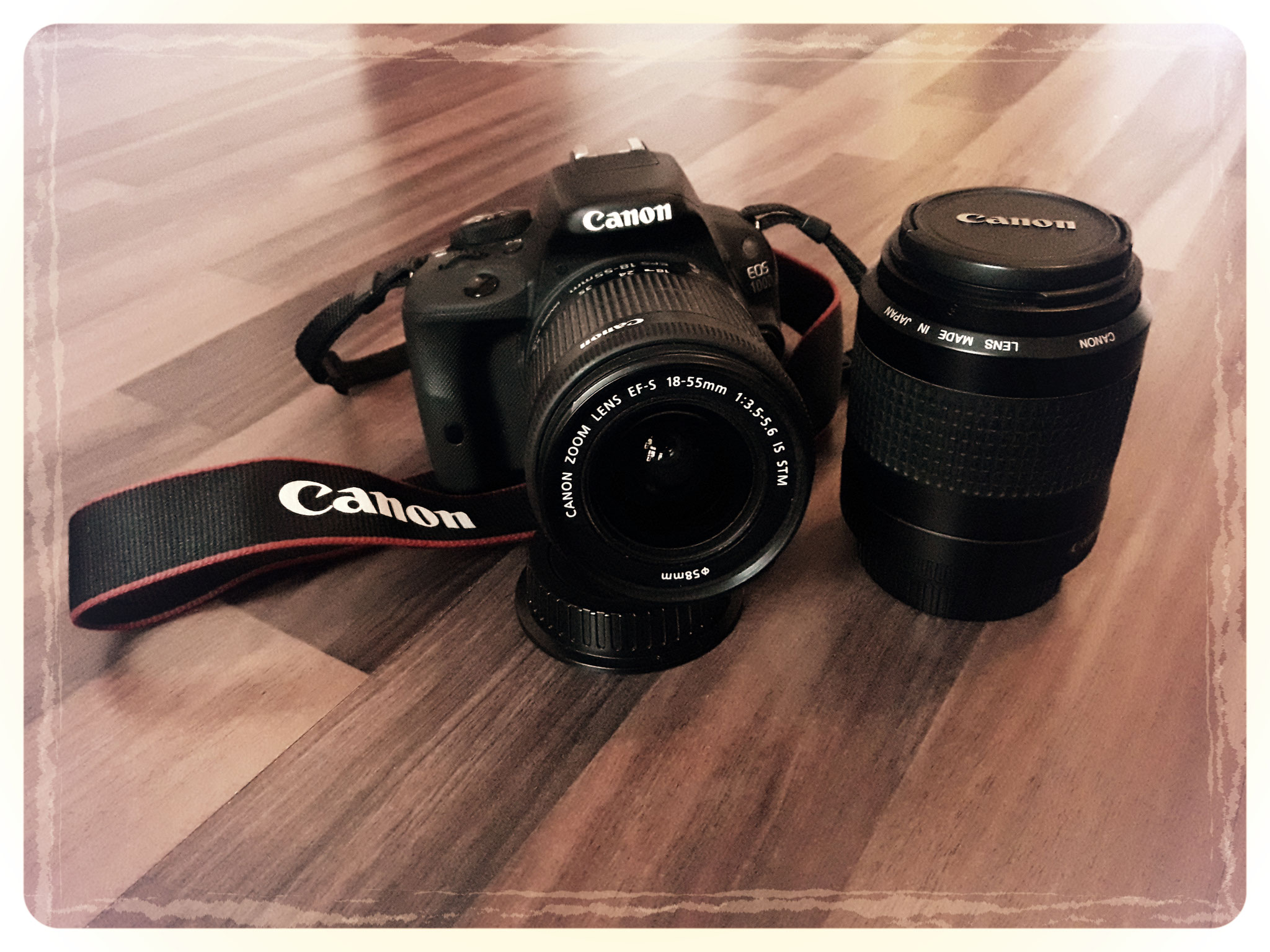 Canon D100 