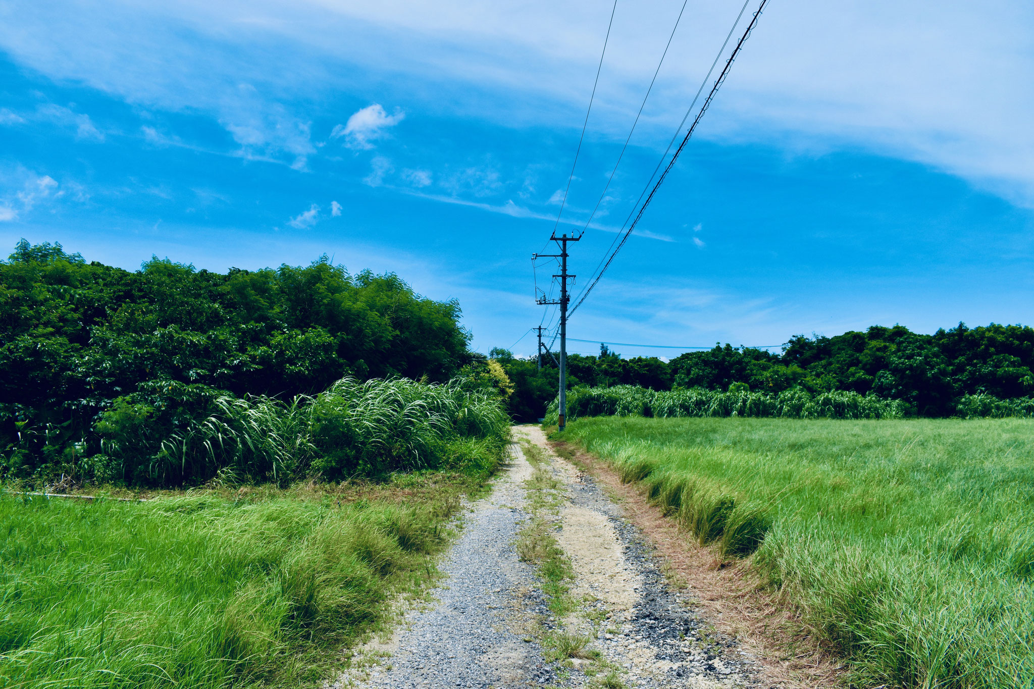 野底土地 1 612 8万円 Shift石垣不動産 野底土地 1 612 8万円 Shift石垣不動産