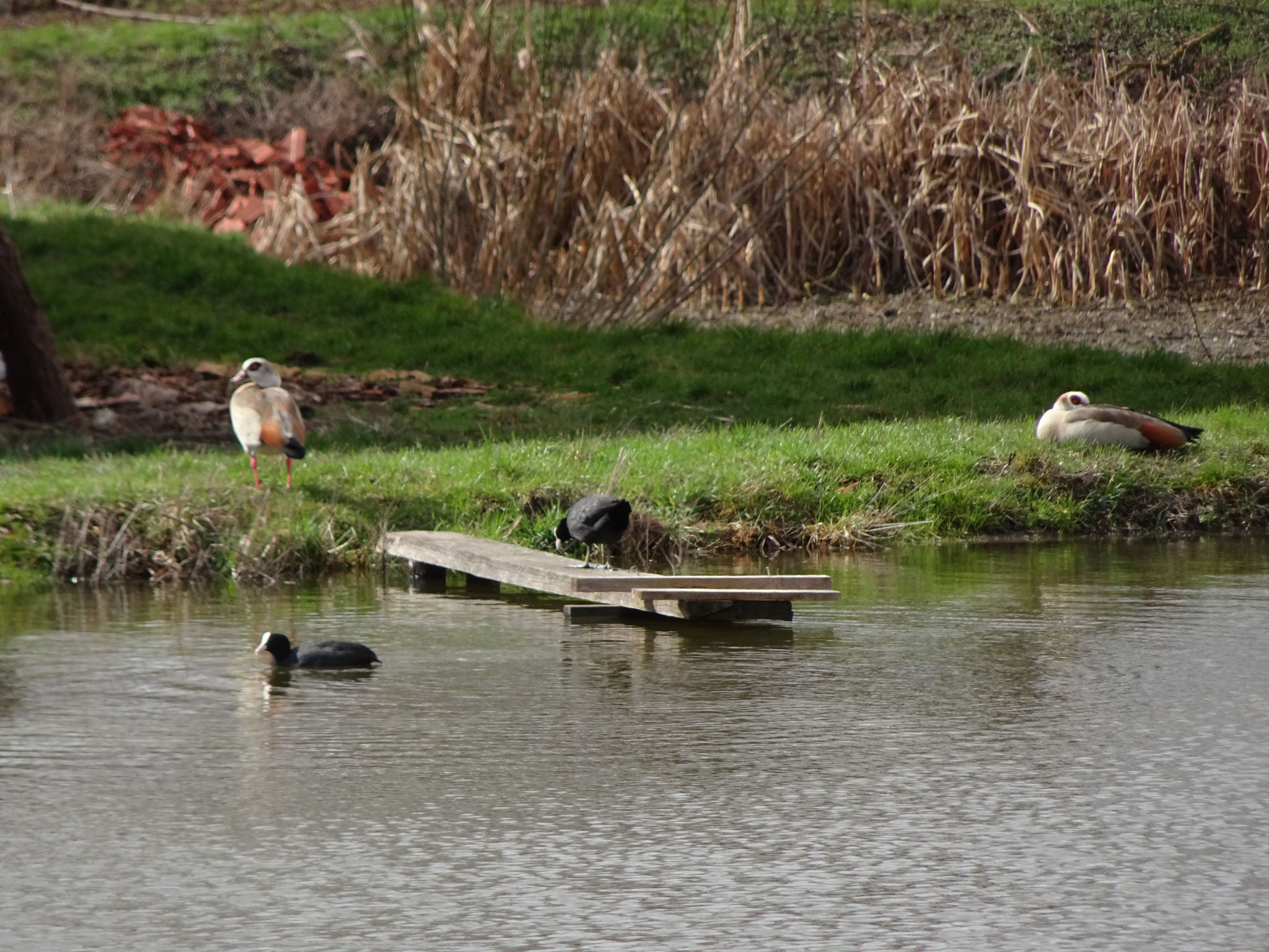 einer unserer Weiher am Haus