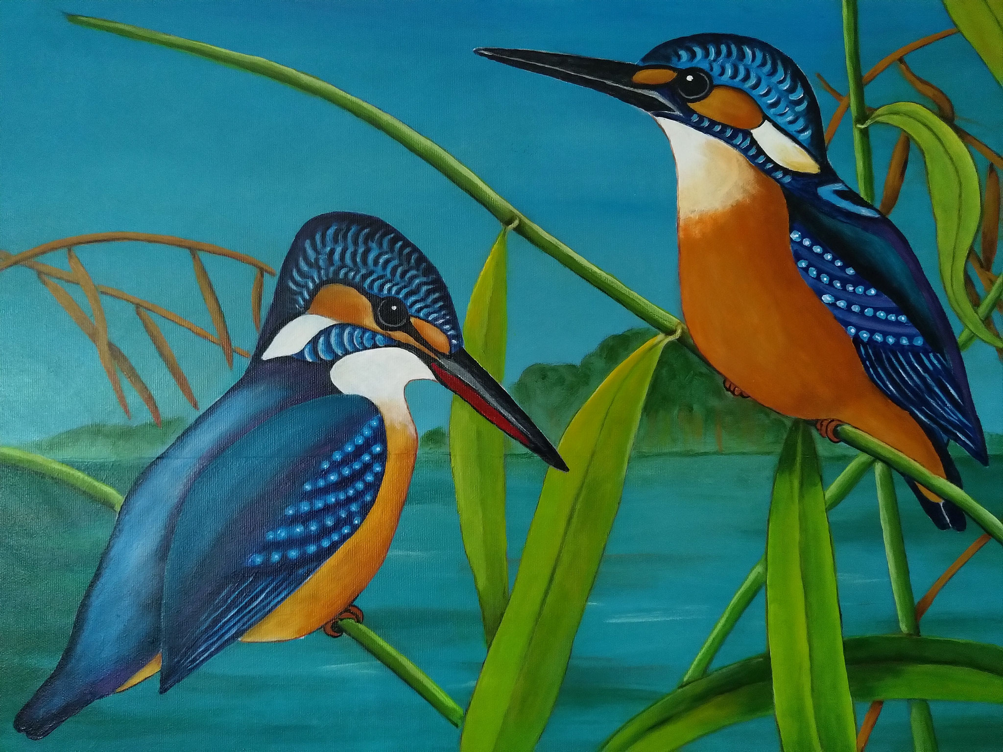 Eisvögel _  (Acryl auf Leinwand, 60 x 40 cm) 