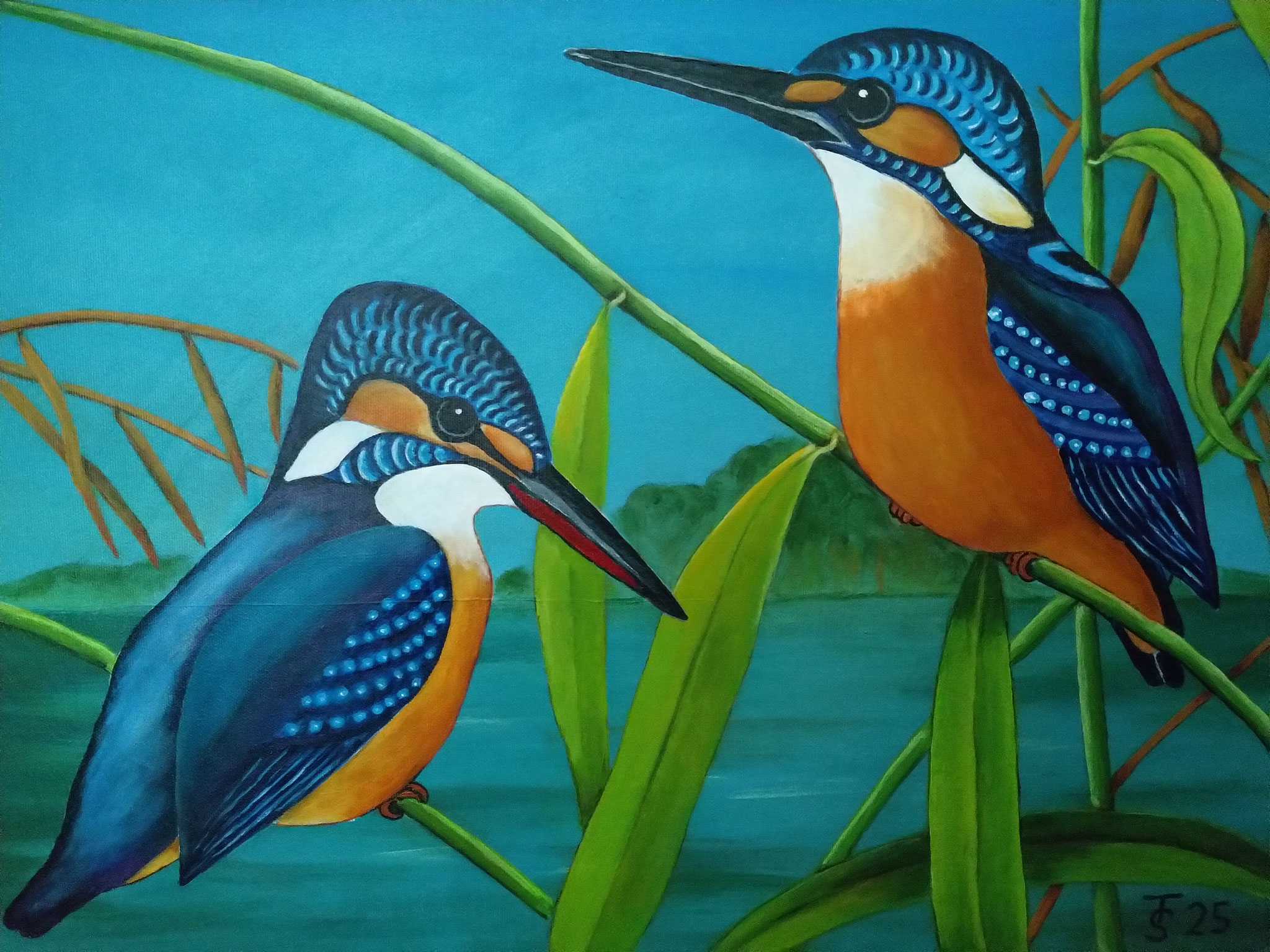 Eisvögel _ (Acryl auf Leinwand, 70 x 50 cm) 