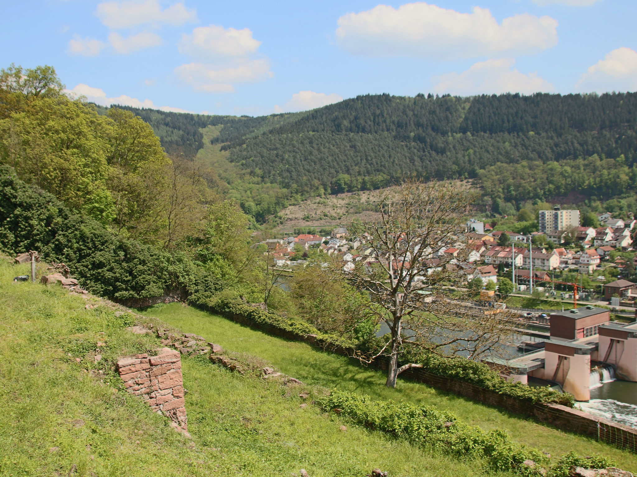 Blick ins Neckartal