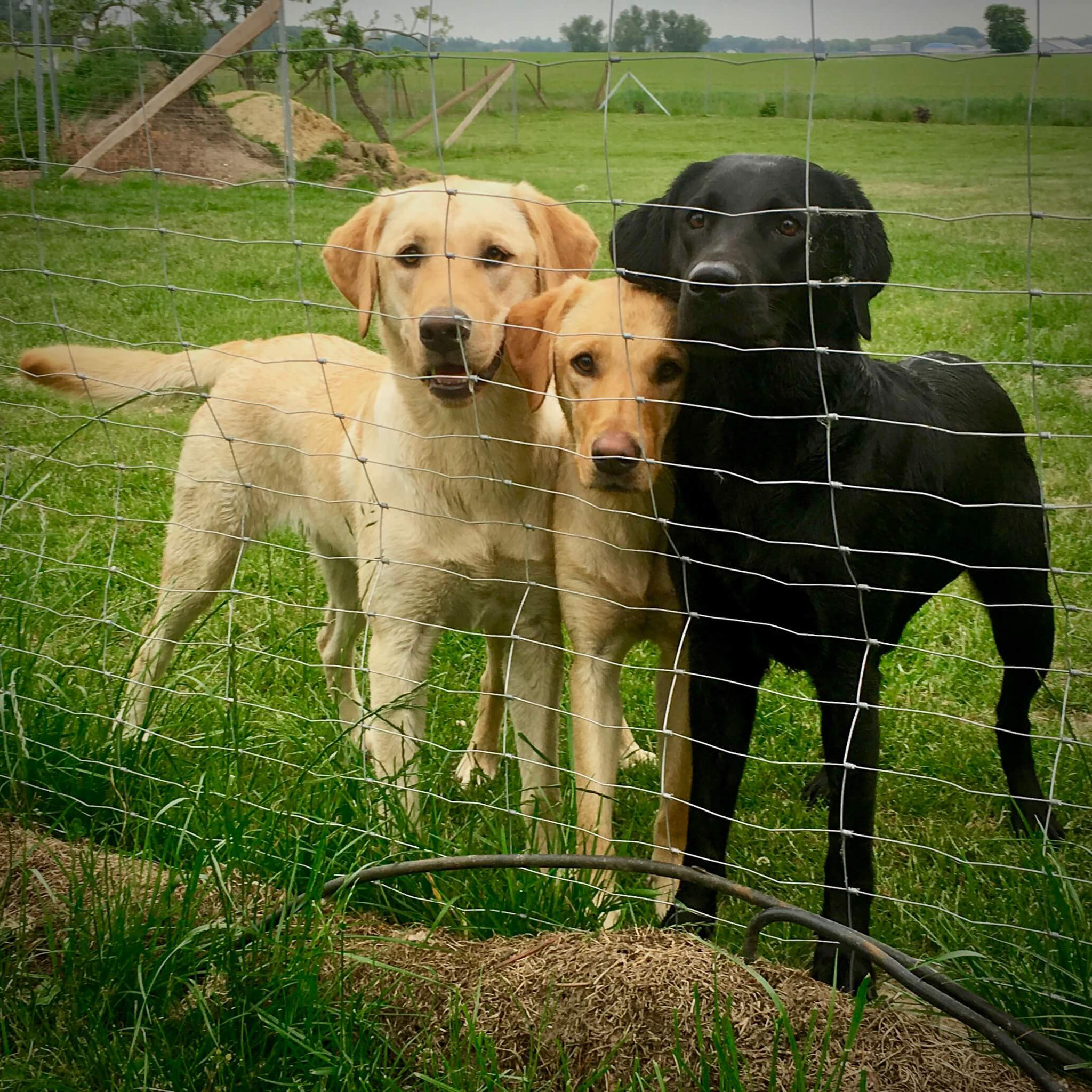 Lina mit einer Schwester und einer Halbschwester