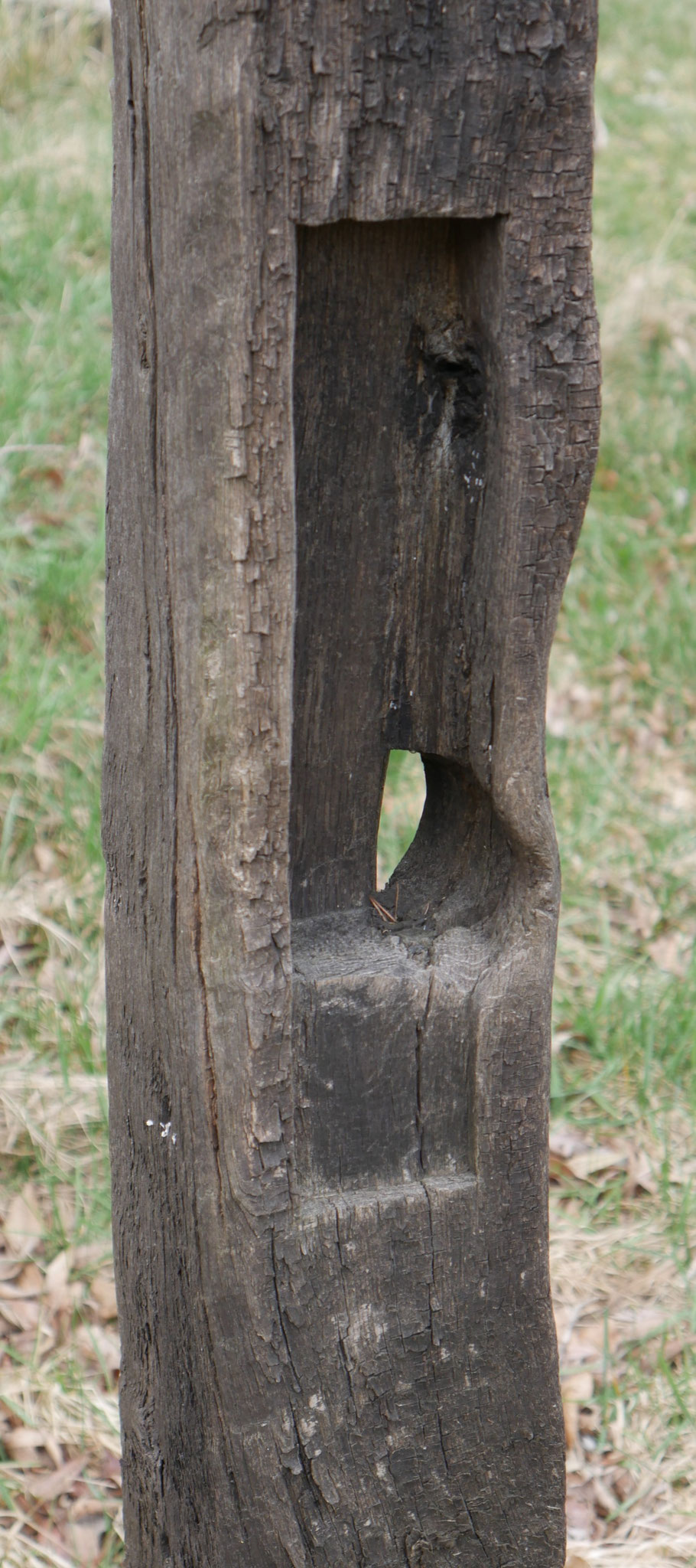 kleiner wächter I- detail