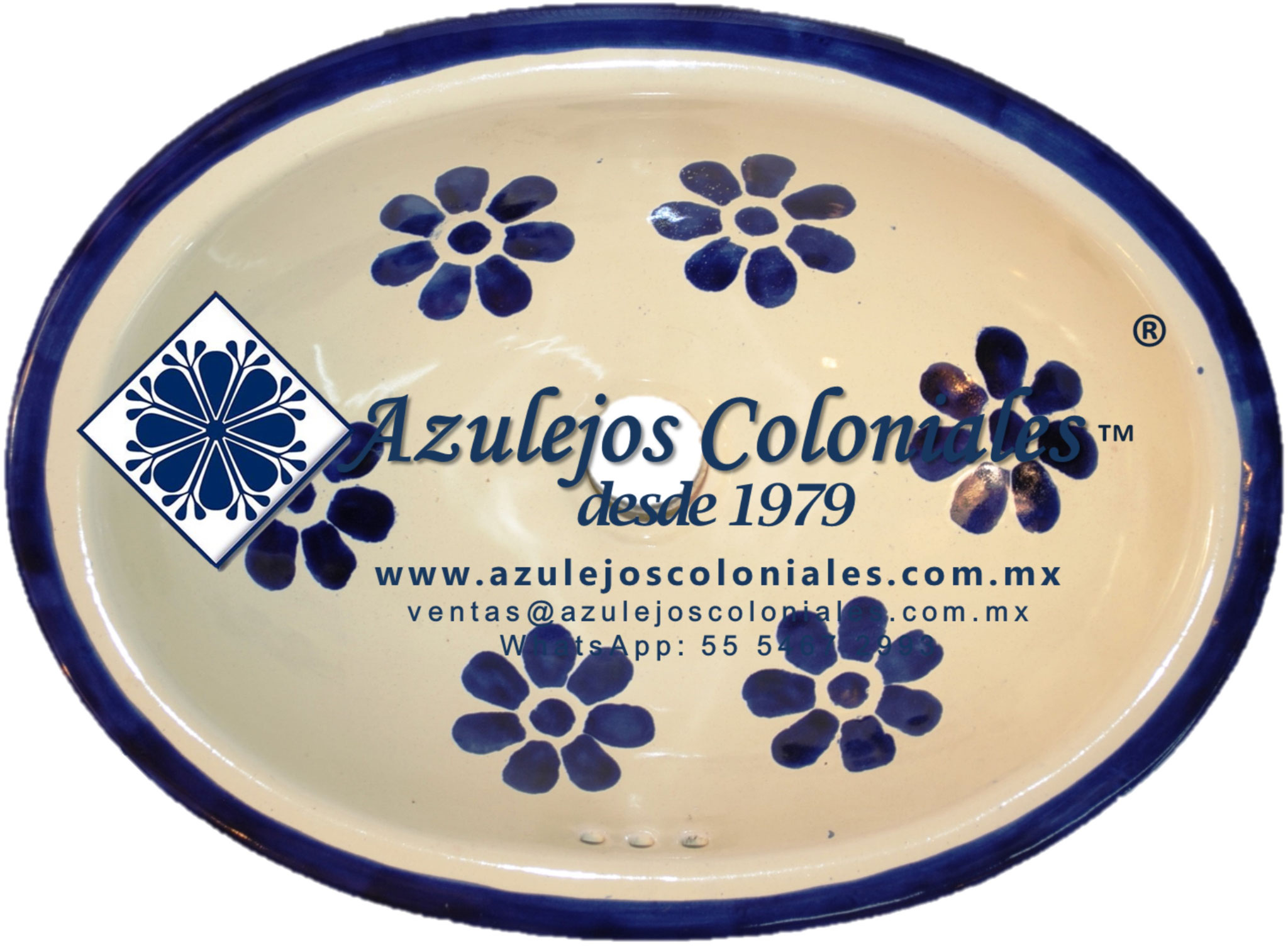Daysi Azul