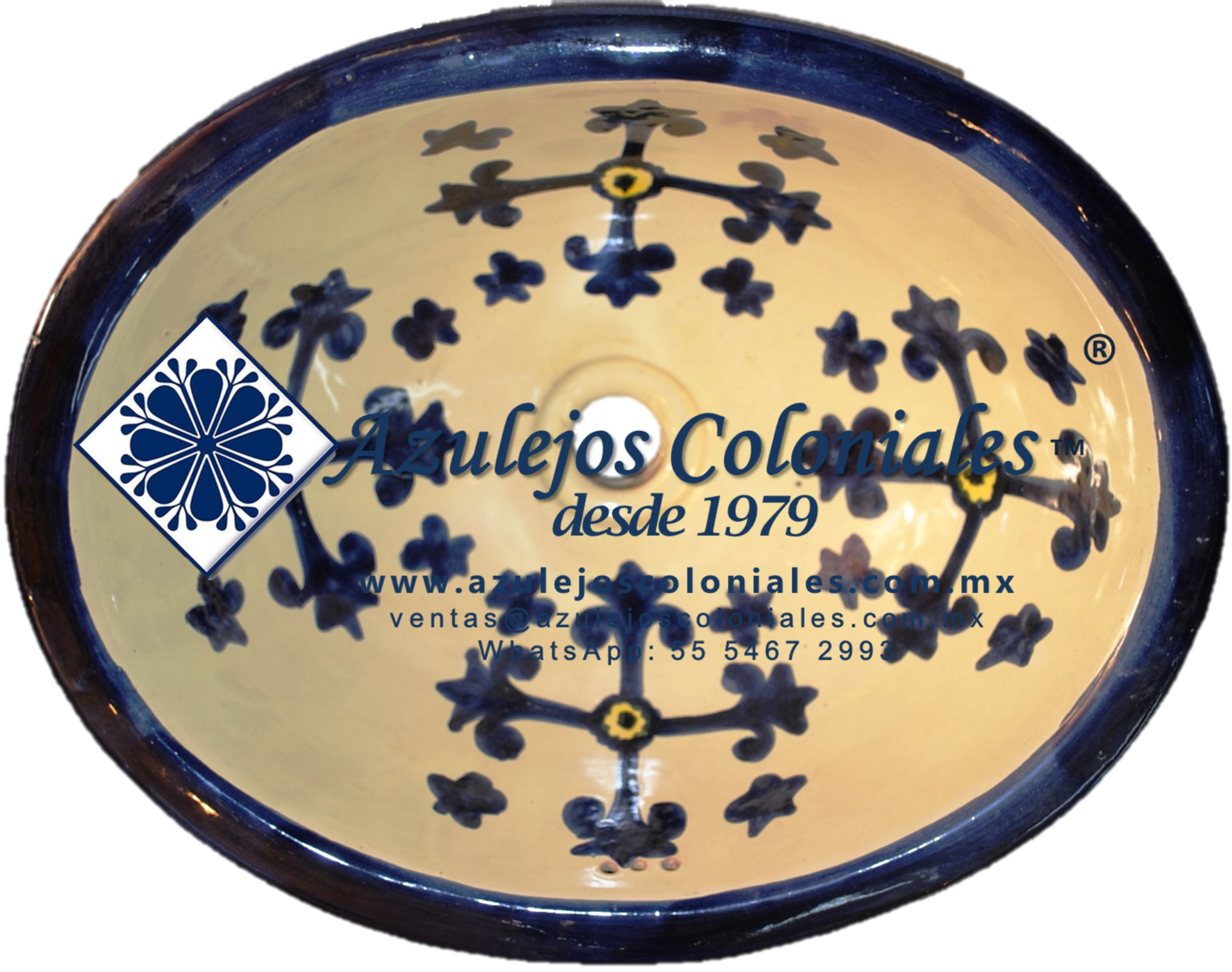 Valencia Azul con Amarillo Plaza Azul