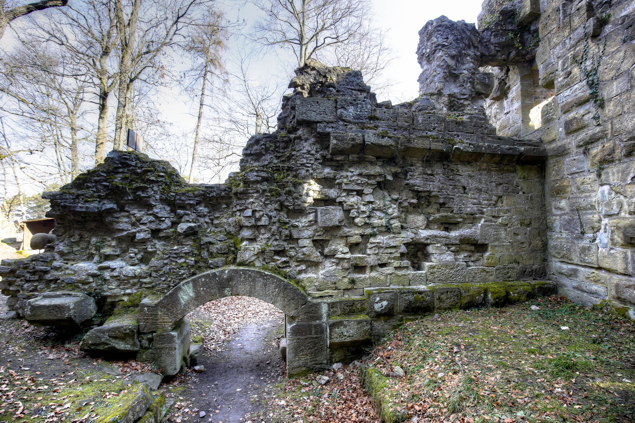Pallasmauer im Jahr 2015