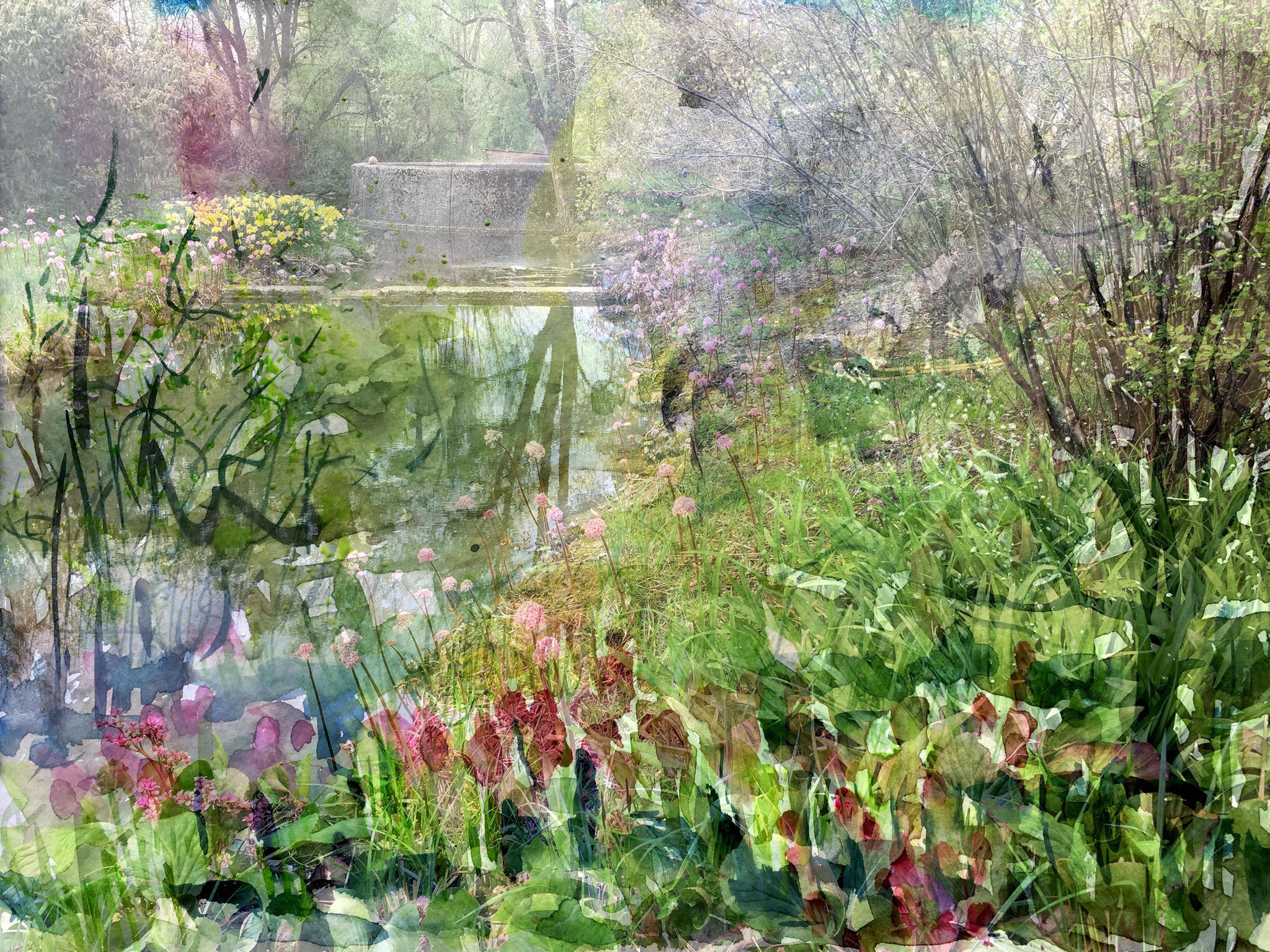 "Wasser und Tulpen" Mixed Media Fotodruck 76 x53 cm