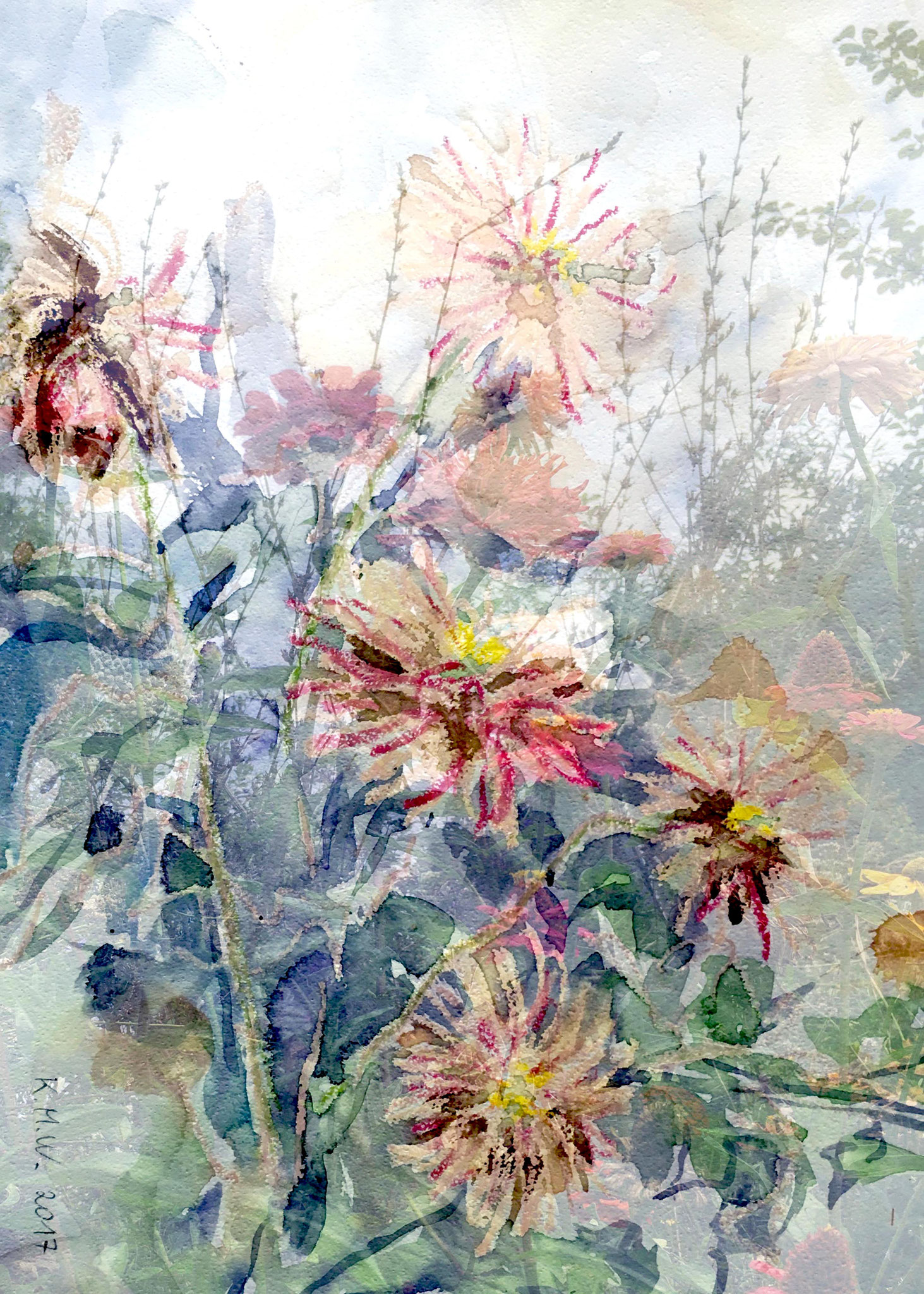 "Zinnien" Mixed Media Acrylglas 70 x 50 cm