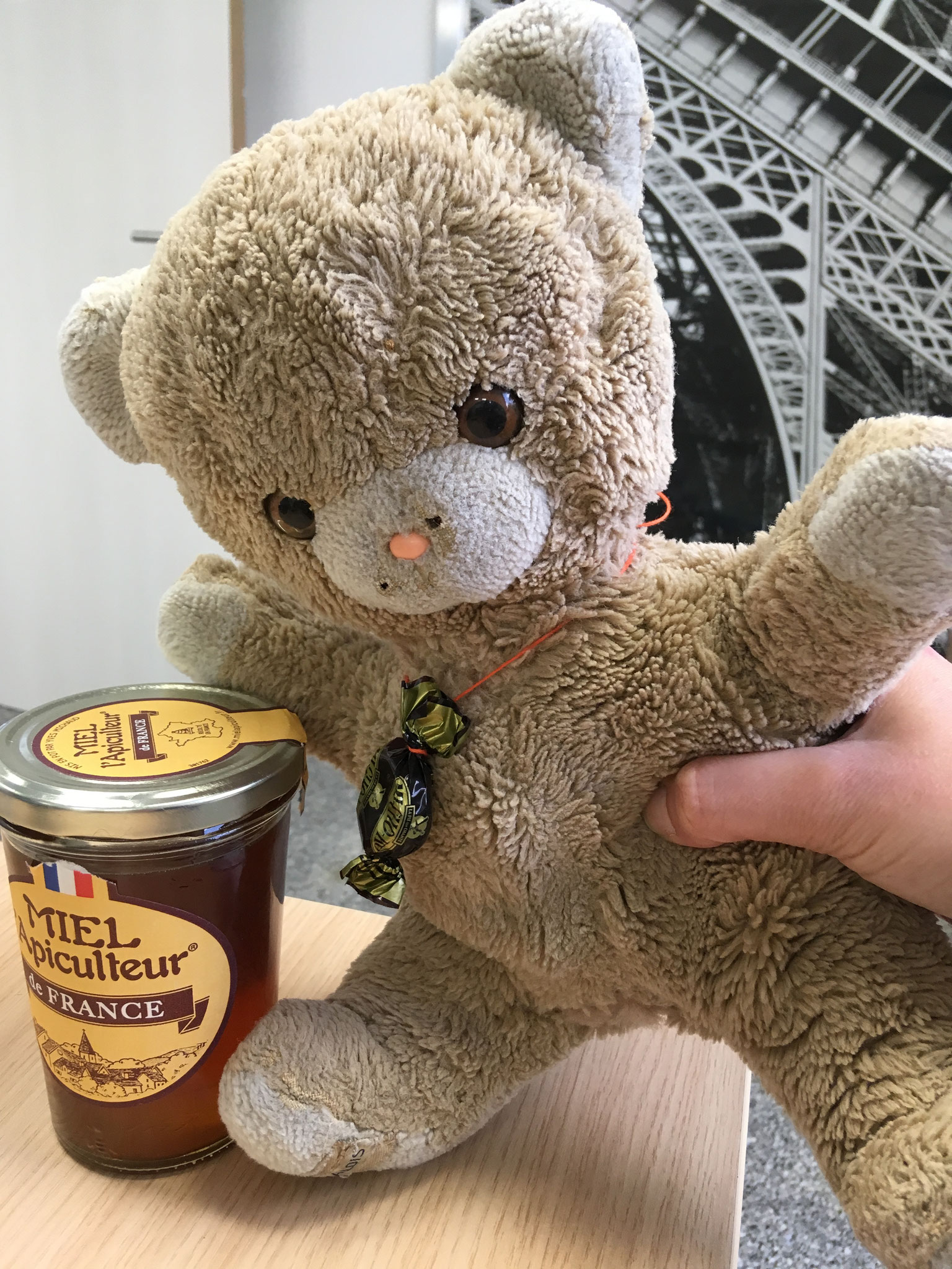 Réparation des ours et animaux en peluche La Clinique des ours et des poupées Paris