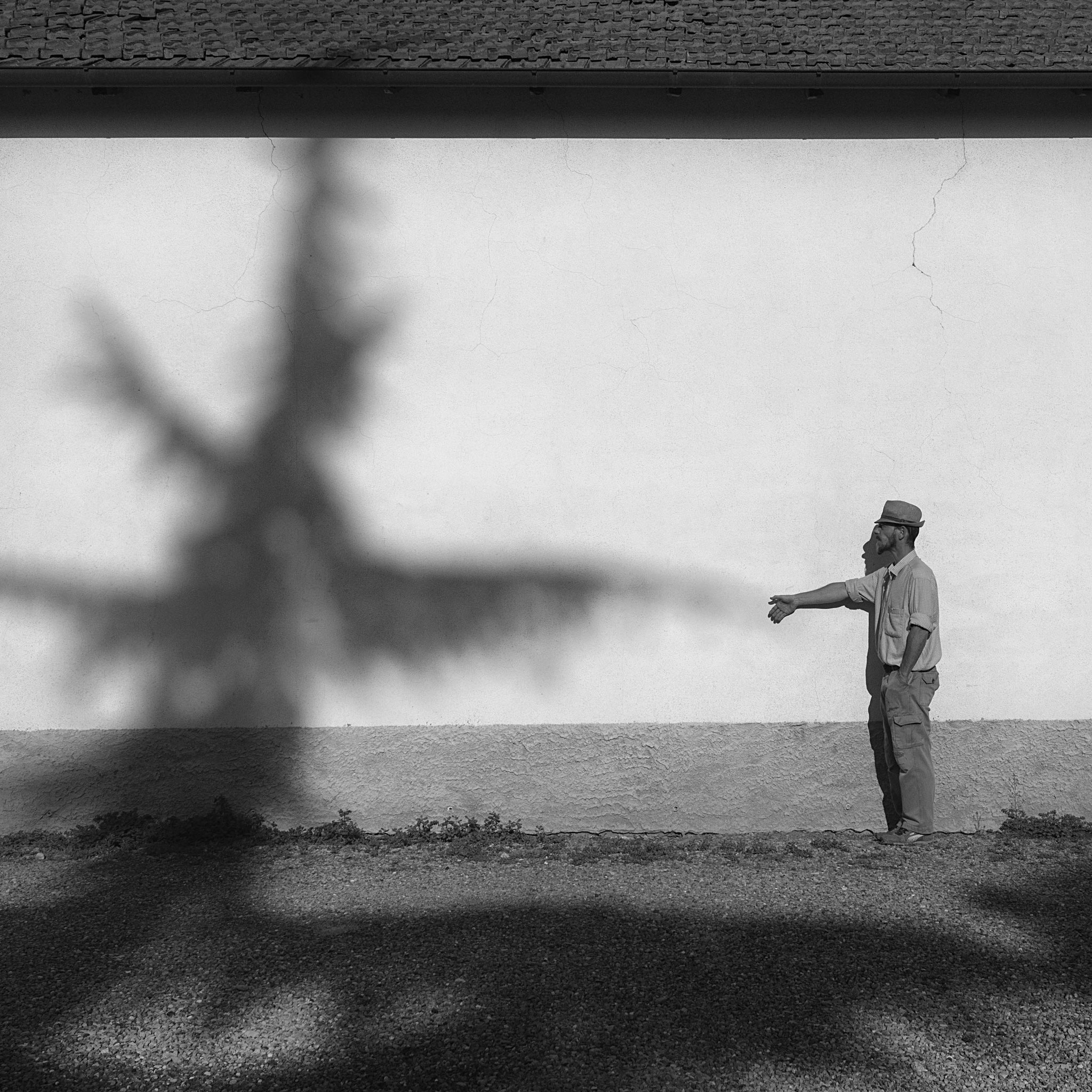 Fotografia di Carlo Ferrara