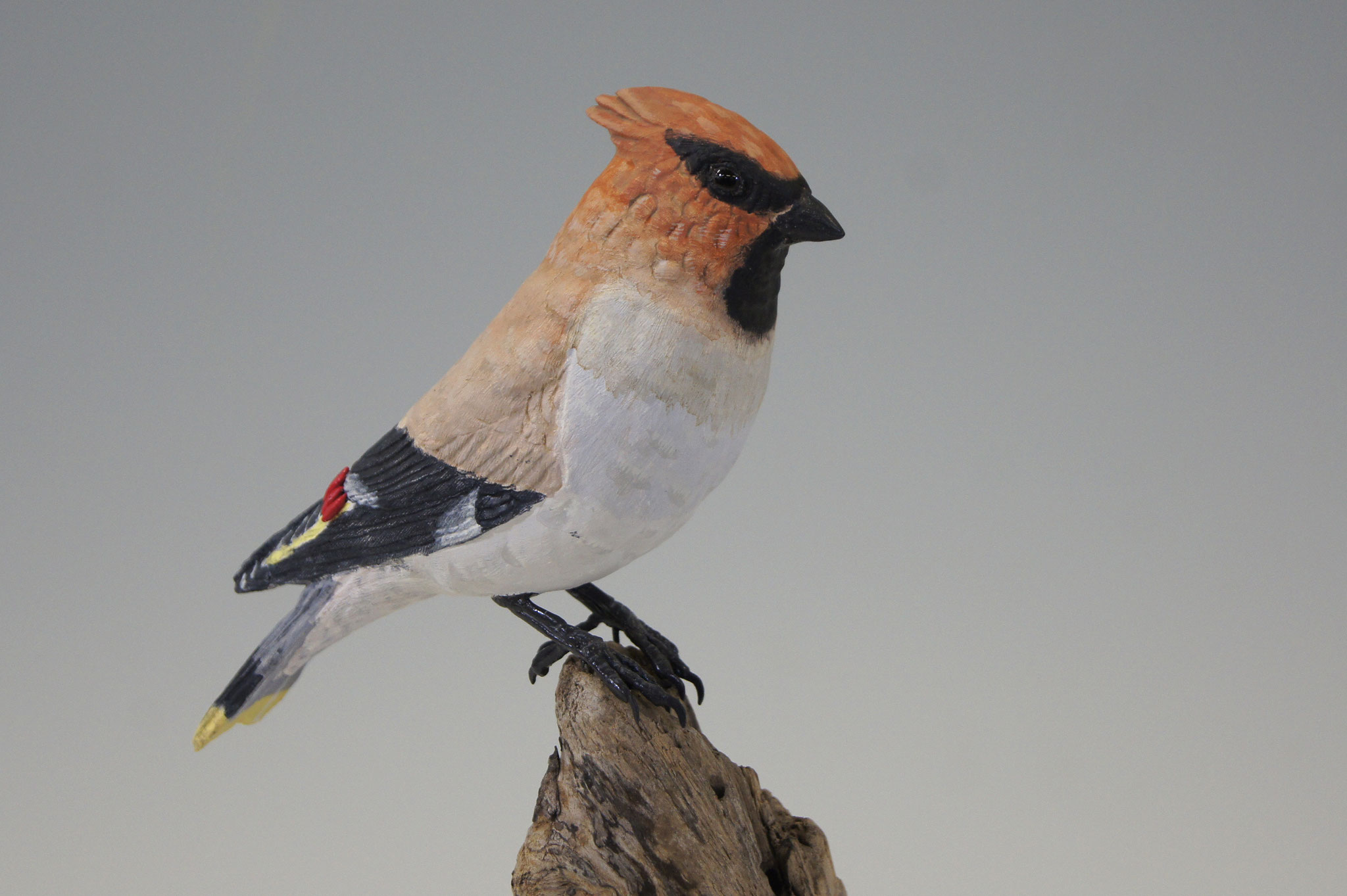 出品作品一覧 - ジャパンワイルドファウル・バードカービング