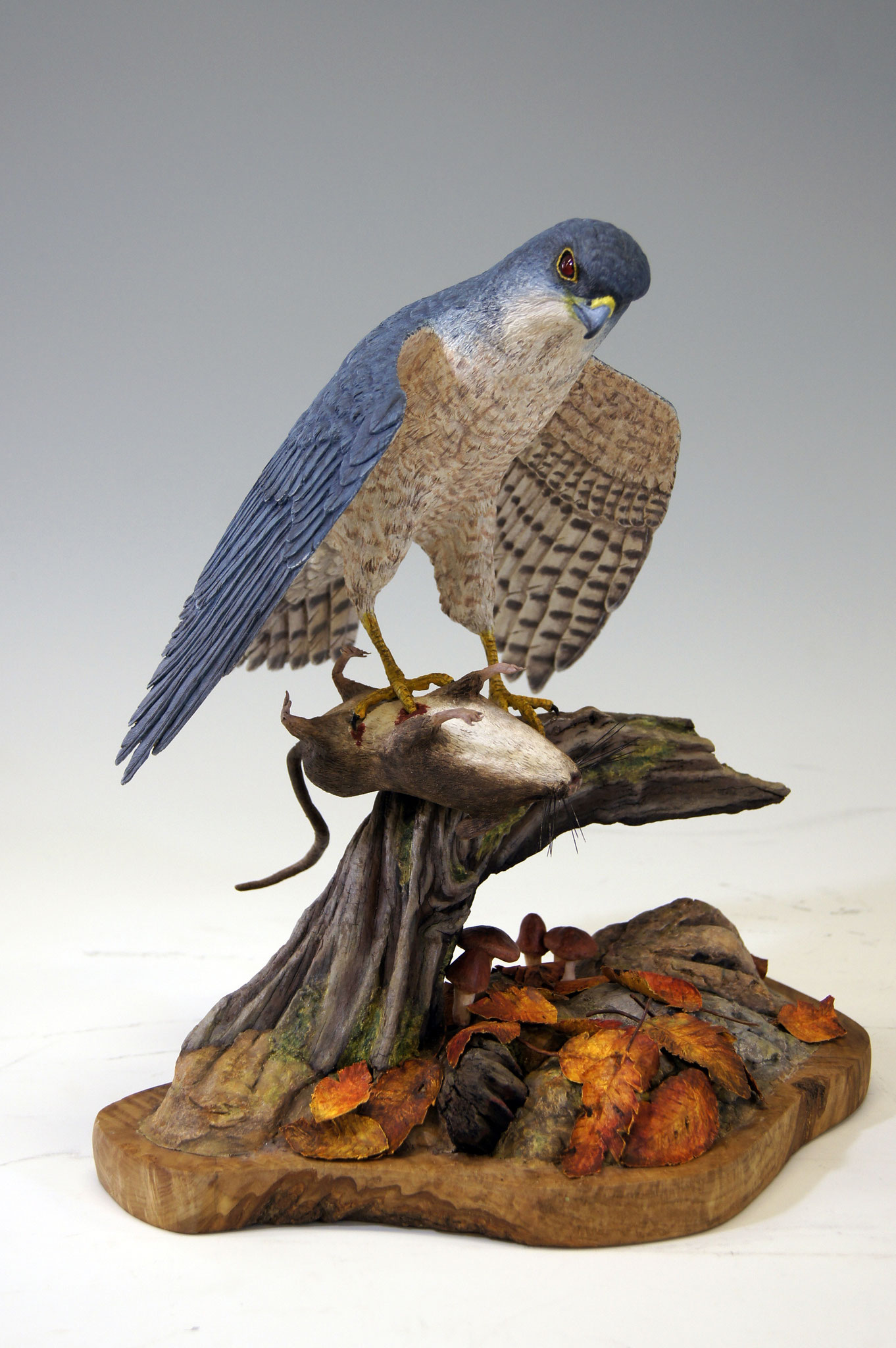 バードカービング シロハヤブサ