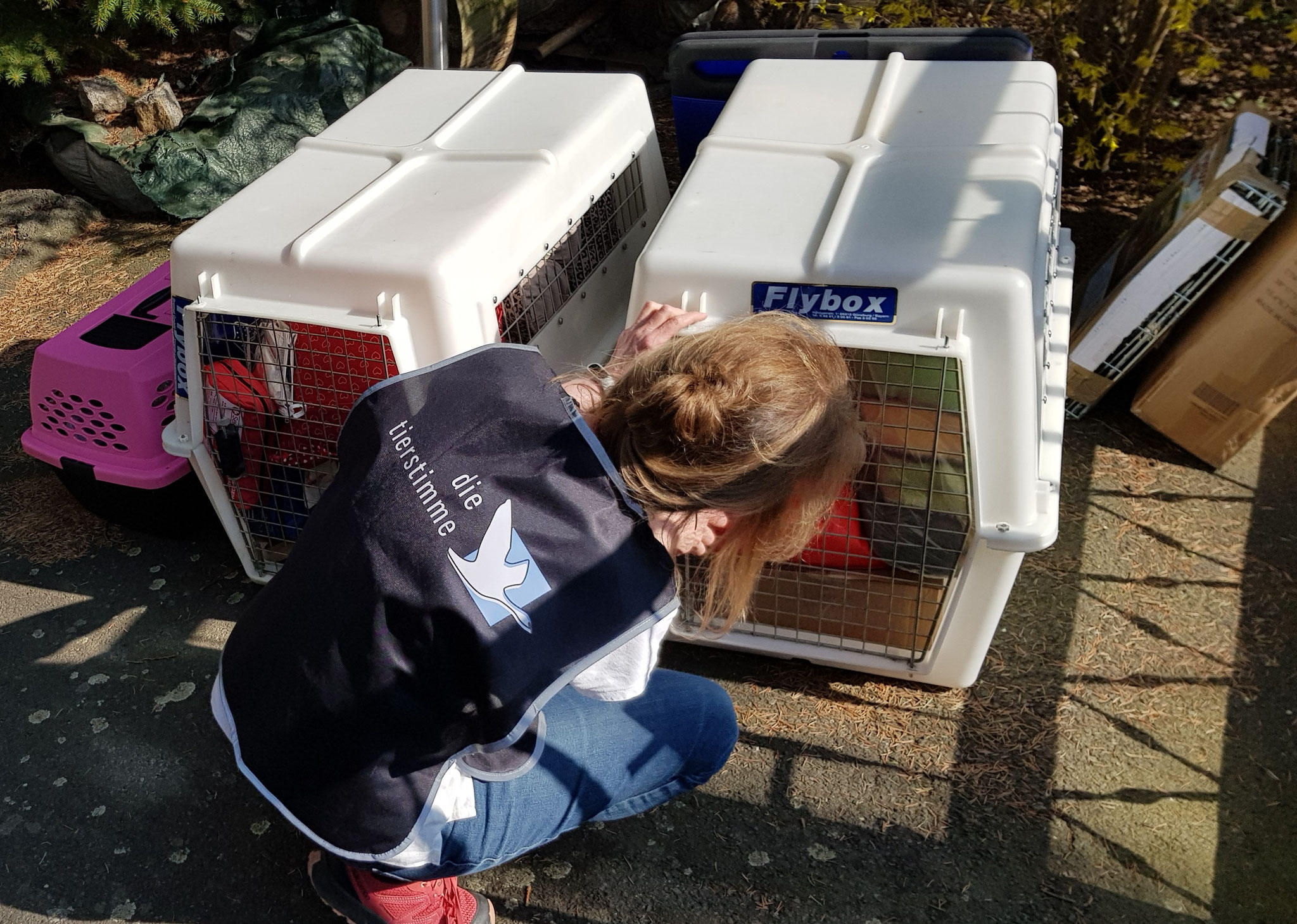 Flugboxen für Sandy