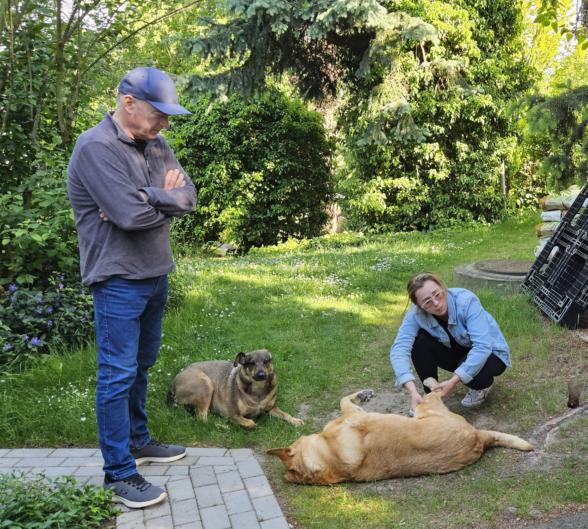 In Dresden: Tierärztin Sola untersucht Radas Bein; DIOZ-Hund Sunny immer dabei