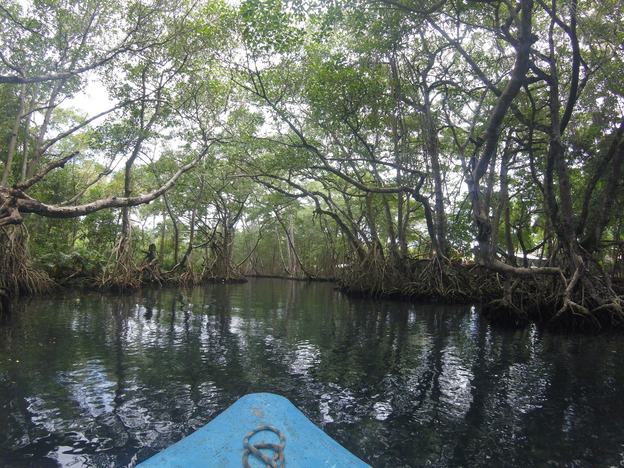 Las Tres Lagunas Aligatours Anbieter von Individual Touren und