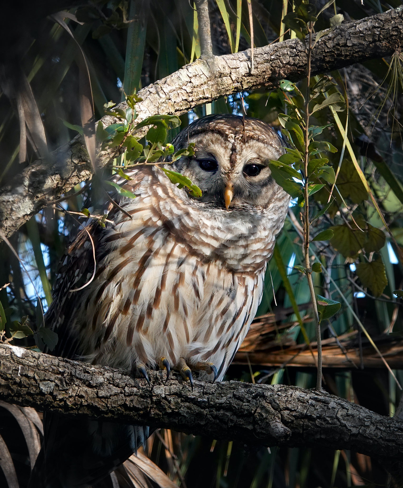 Photo by Dave Cottrill