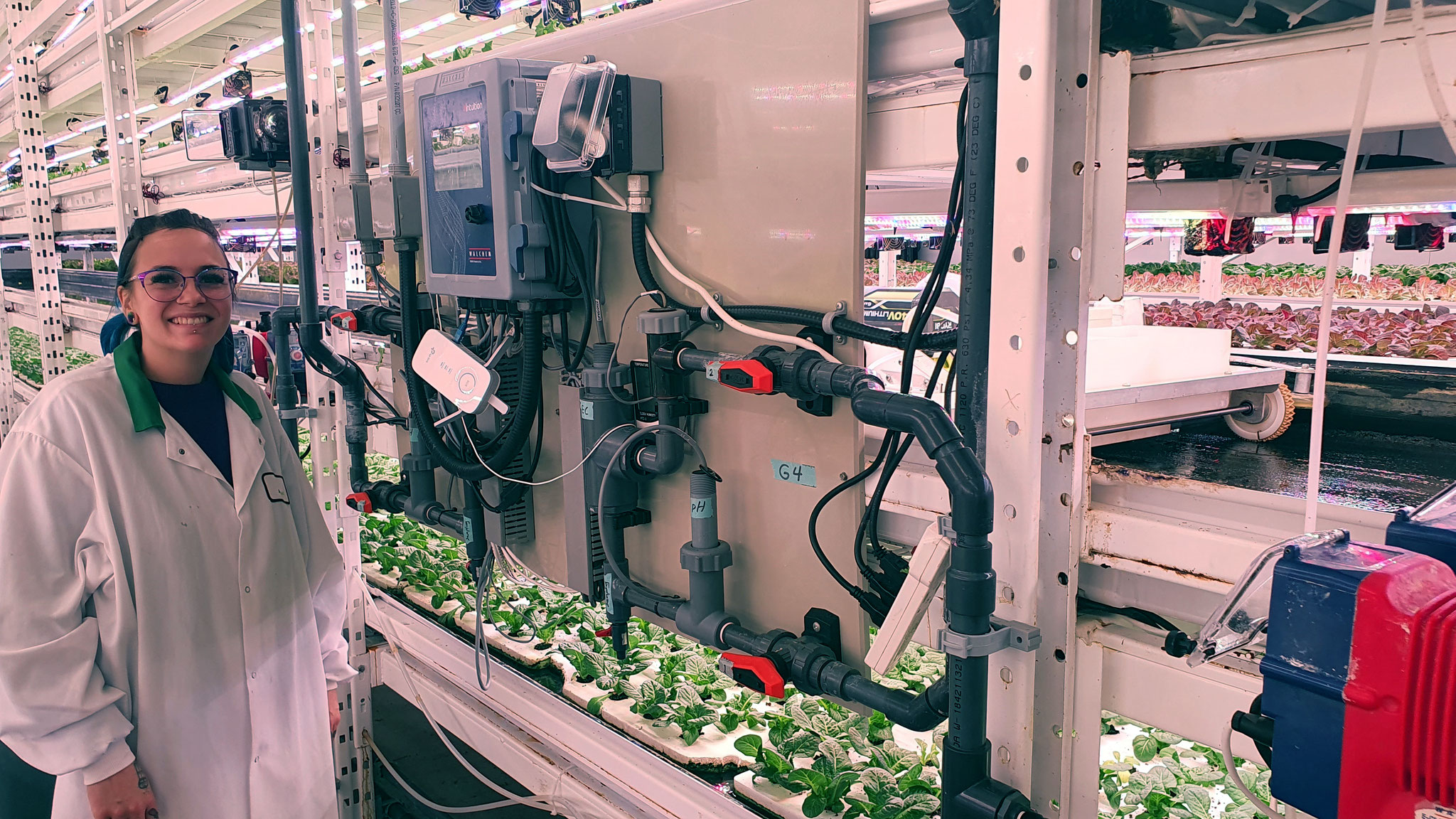 Aquiverti Farms: Production de salades sur petits radeaux
