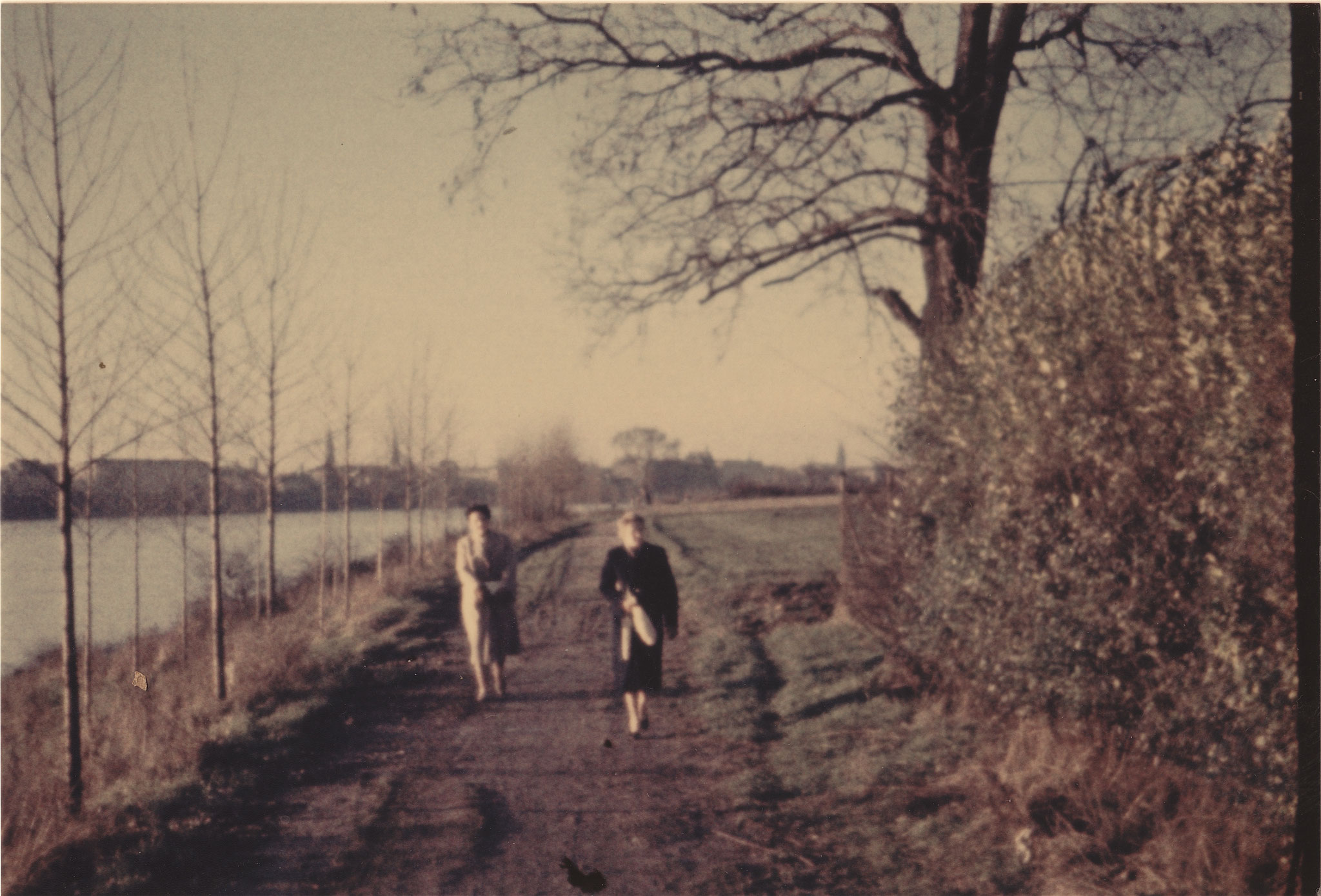 Der Rheinspazierweg im Beueler Süden 50er Jahre